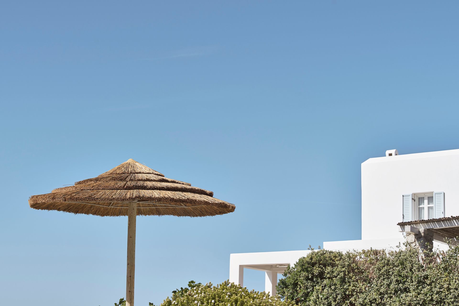 The Naxian Collection