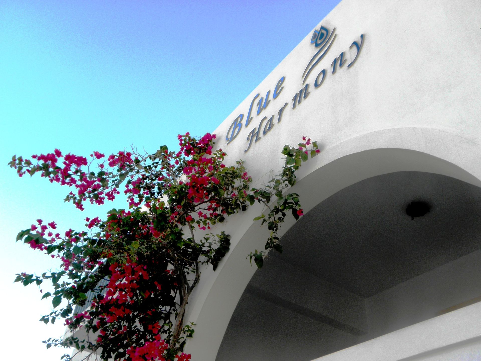 Blue Harmony Apartments Naxos
