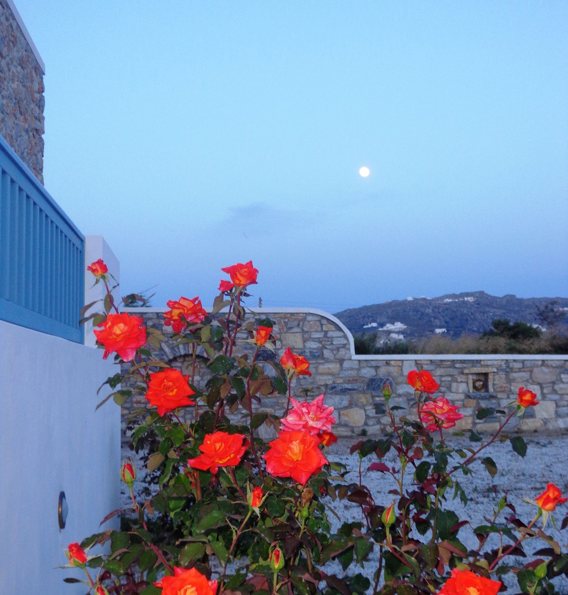 Blue Harmony Apartments Naxos