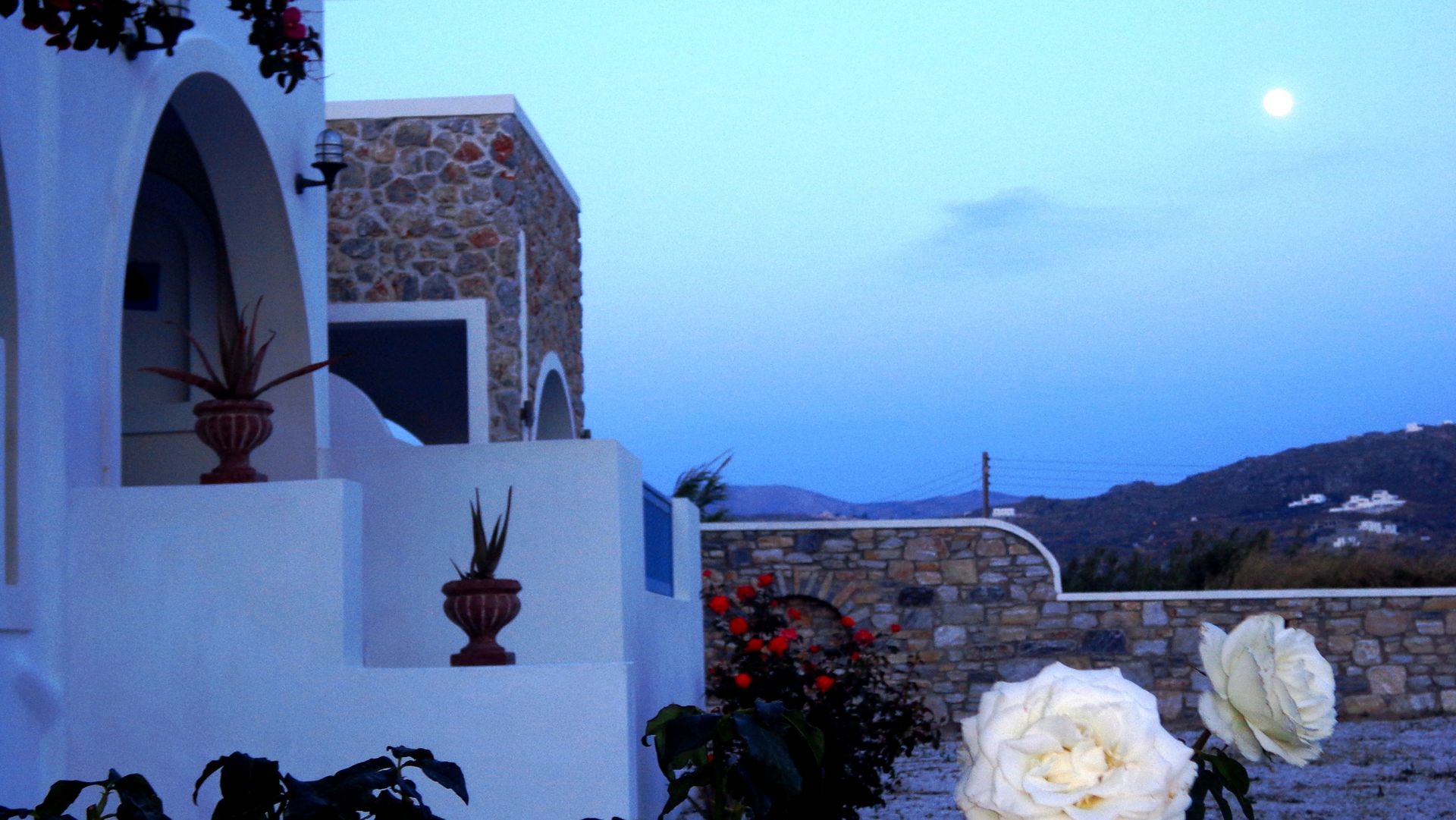 Blue Harmony Apartments Naxos