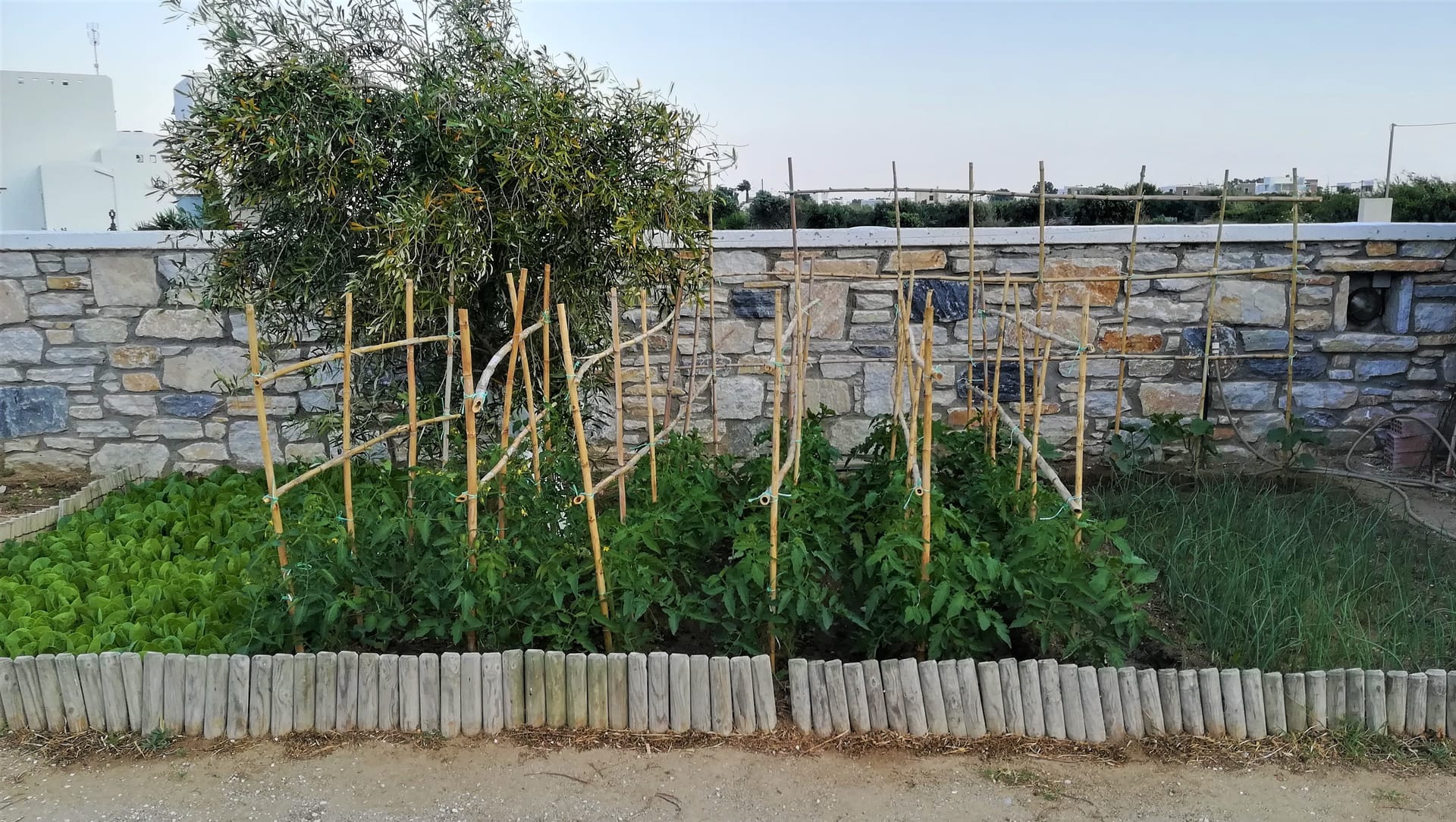 Blue Harmony Apartments Naxos