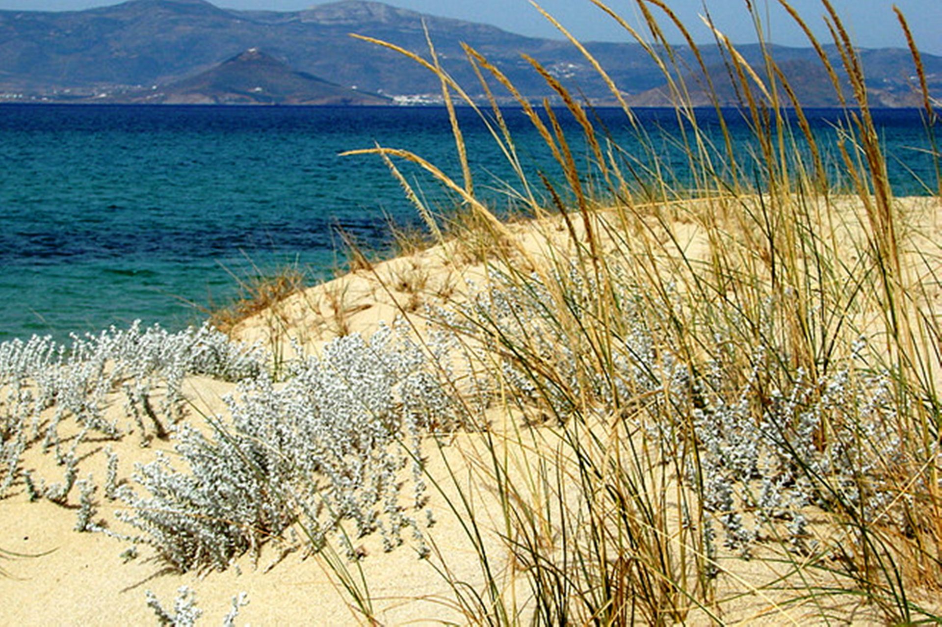 Blue Harmony Apartments Naxos