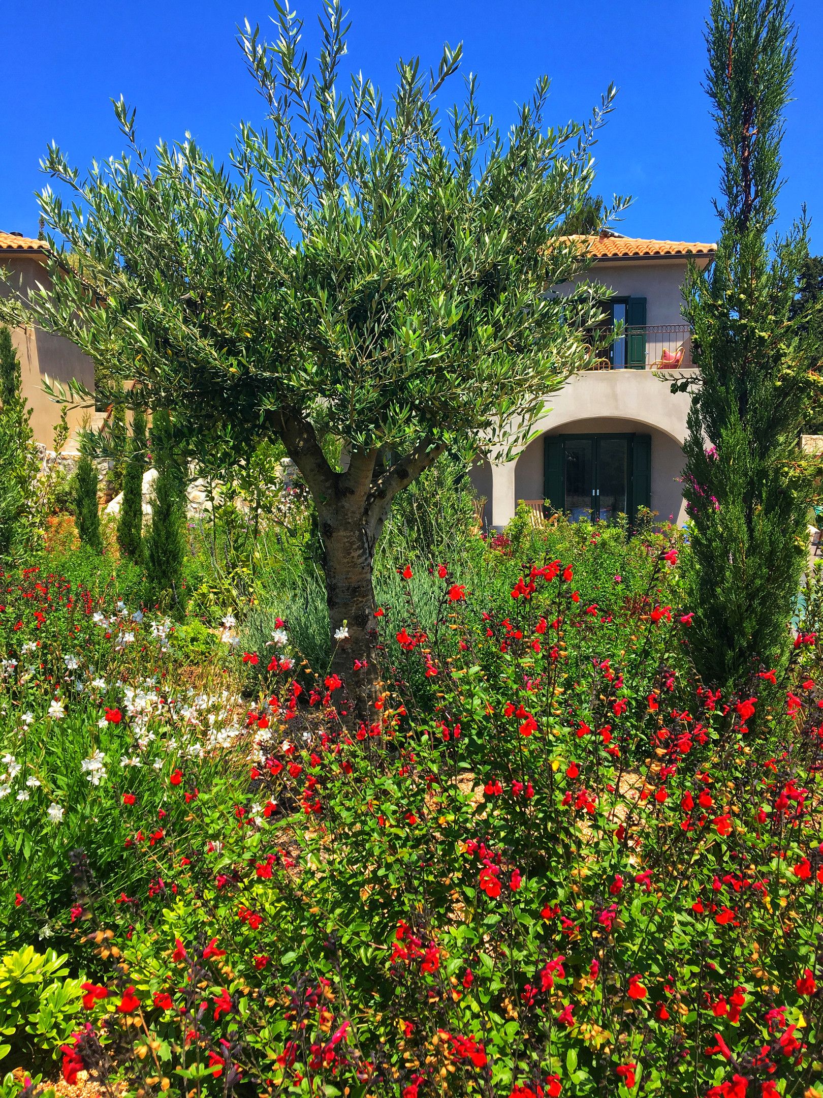 NorthPoint Houses Fiskardo