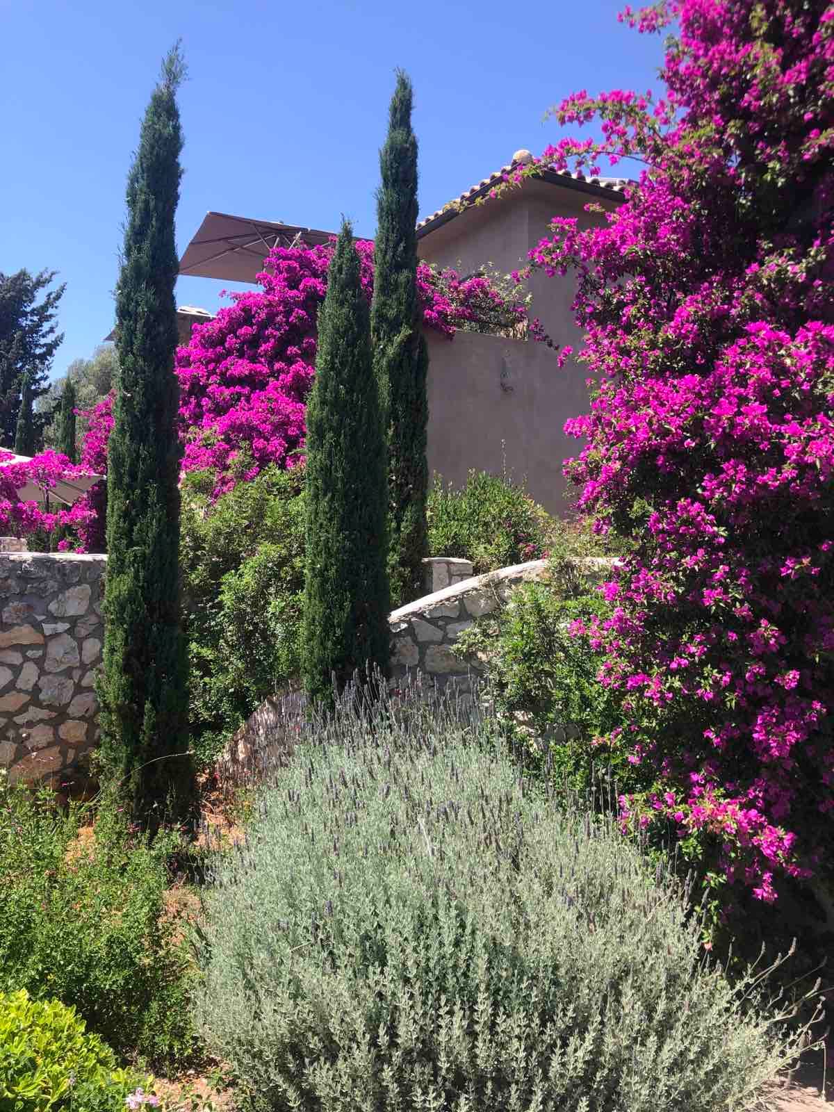 NorthPoint Houses Fiskardo