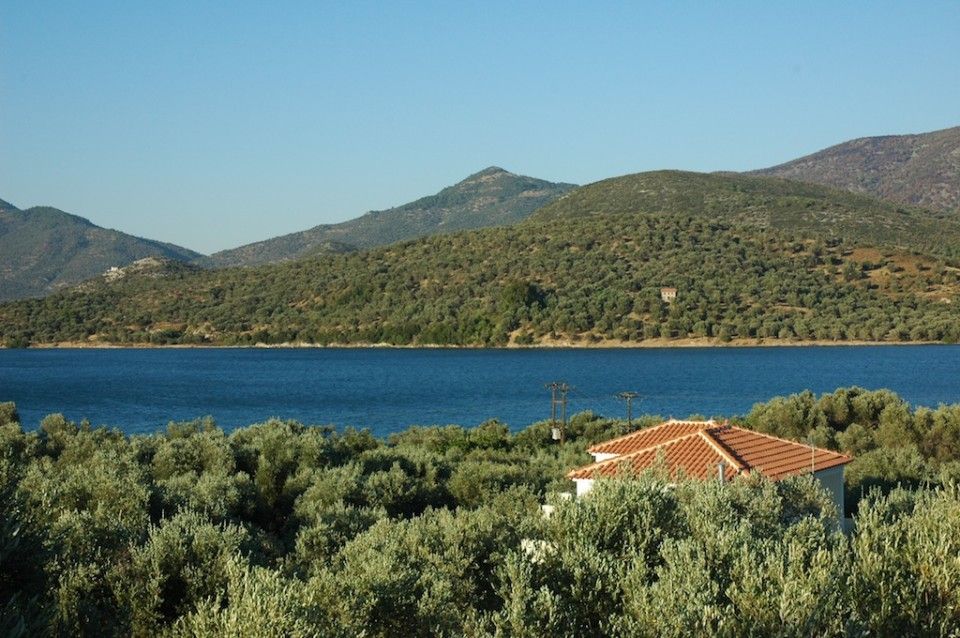View from the top houses