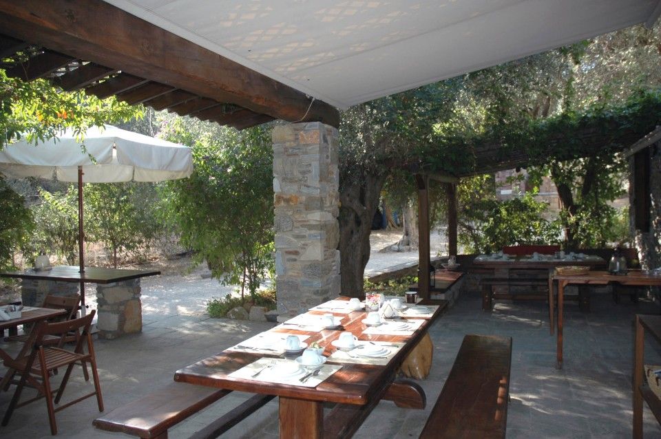 Outdoor breakfast area