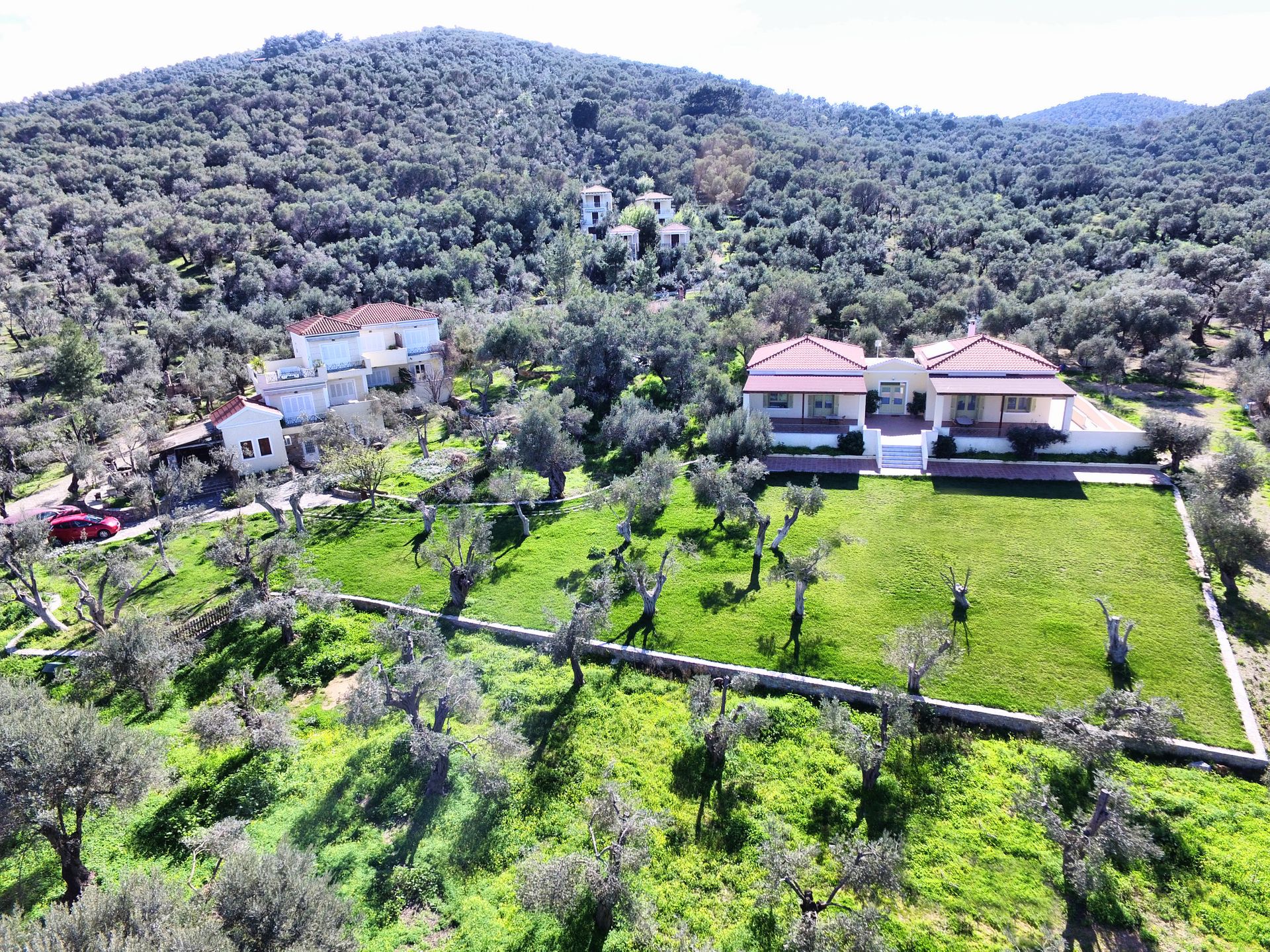 Bird's eye view of the Guesthouse, GERA'S OLIVE GROVE