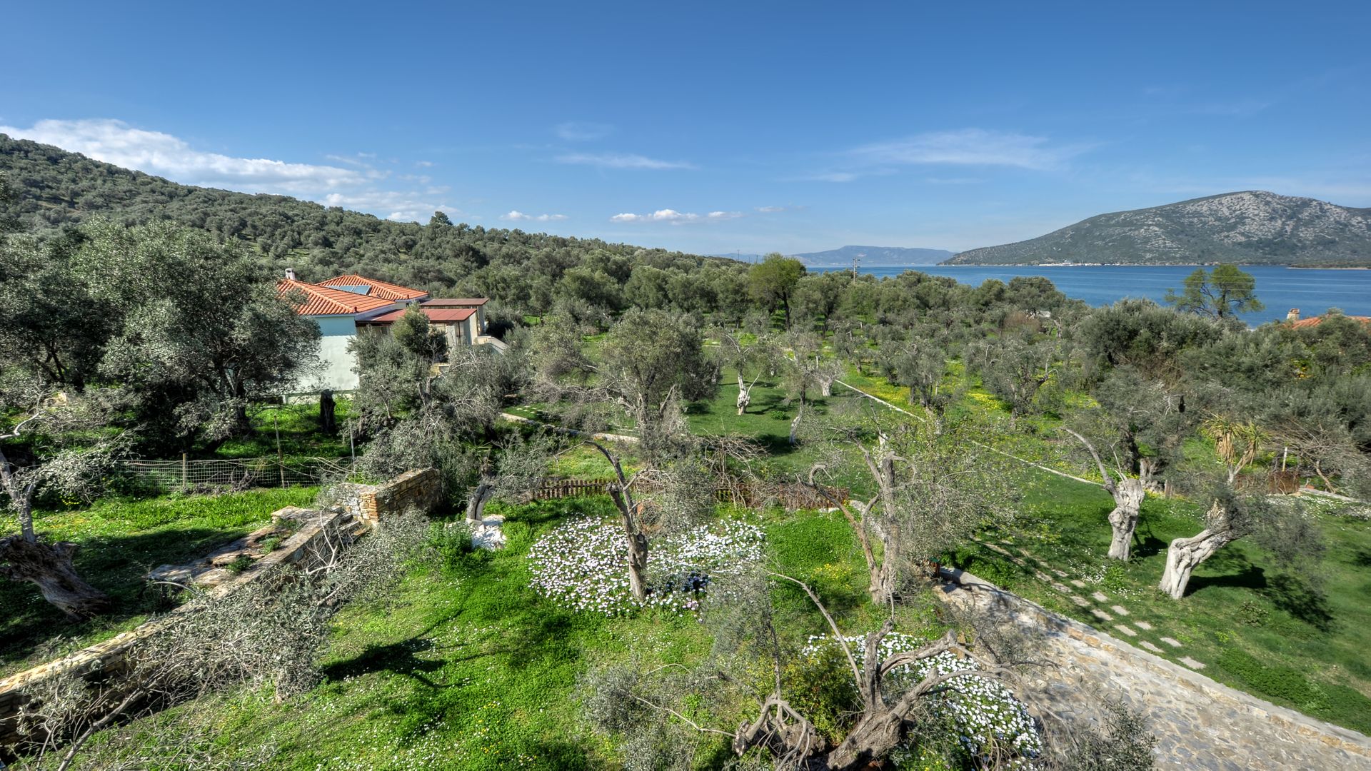 Garden and venue's facade