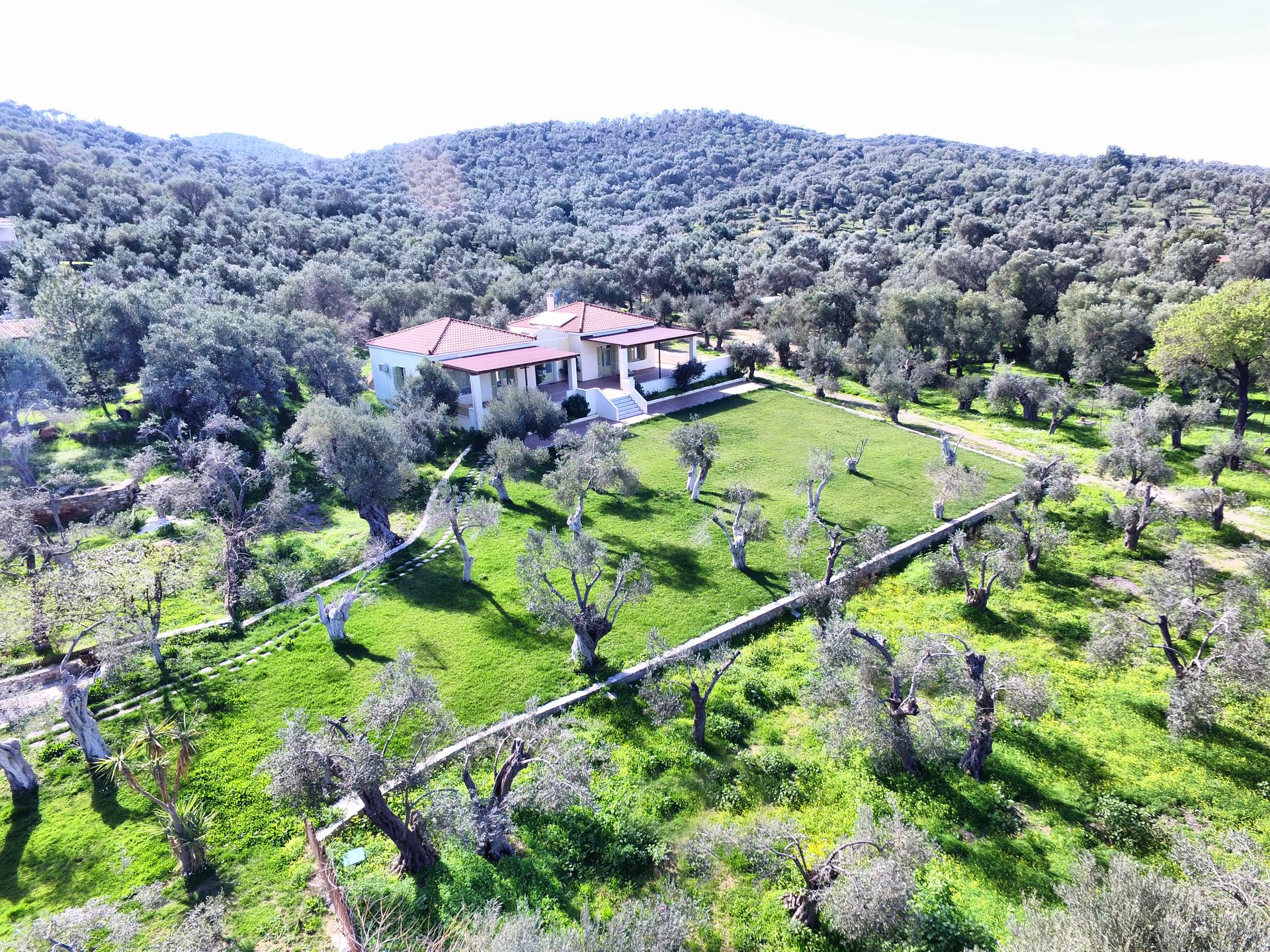 Bird's eye view of the venue building