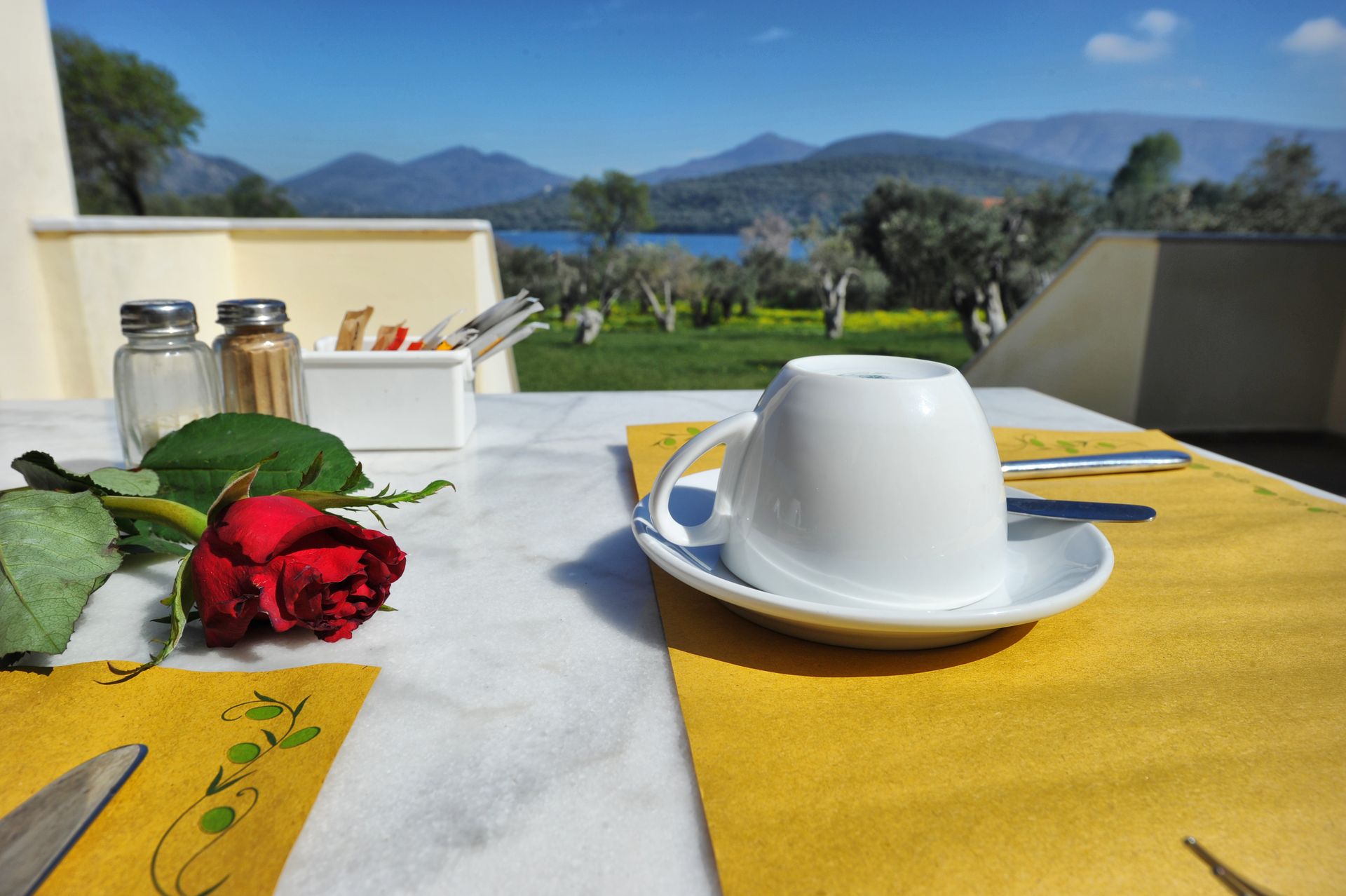 Detail of dinning table(terrace of the venue)