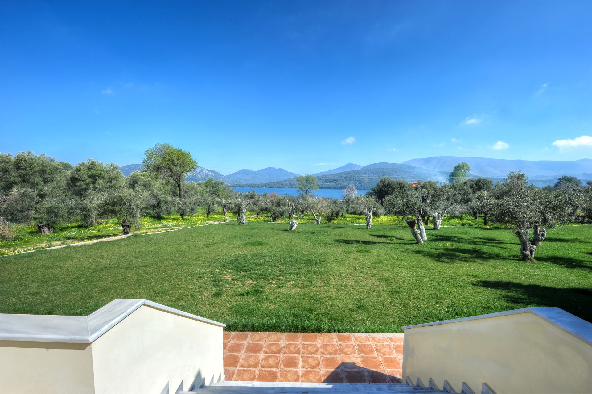 View from the terrace(Venue)