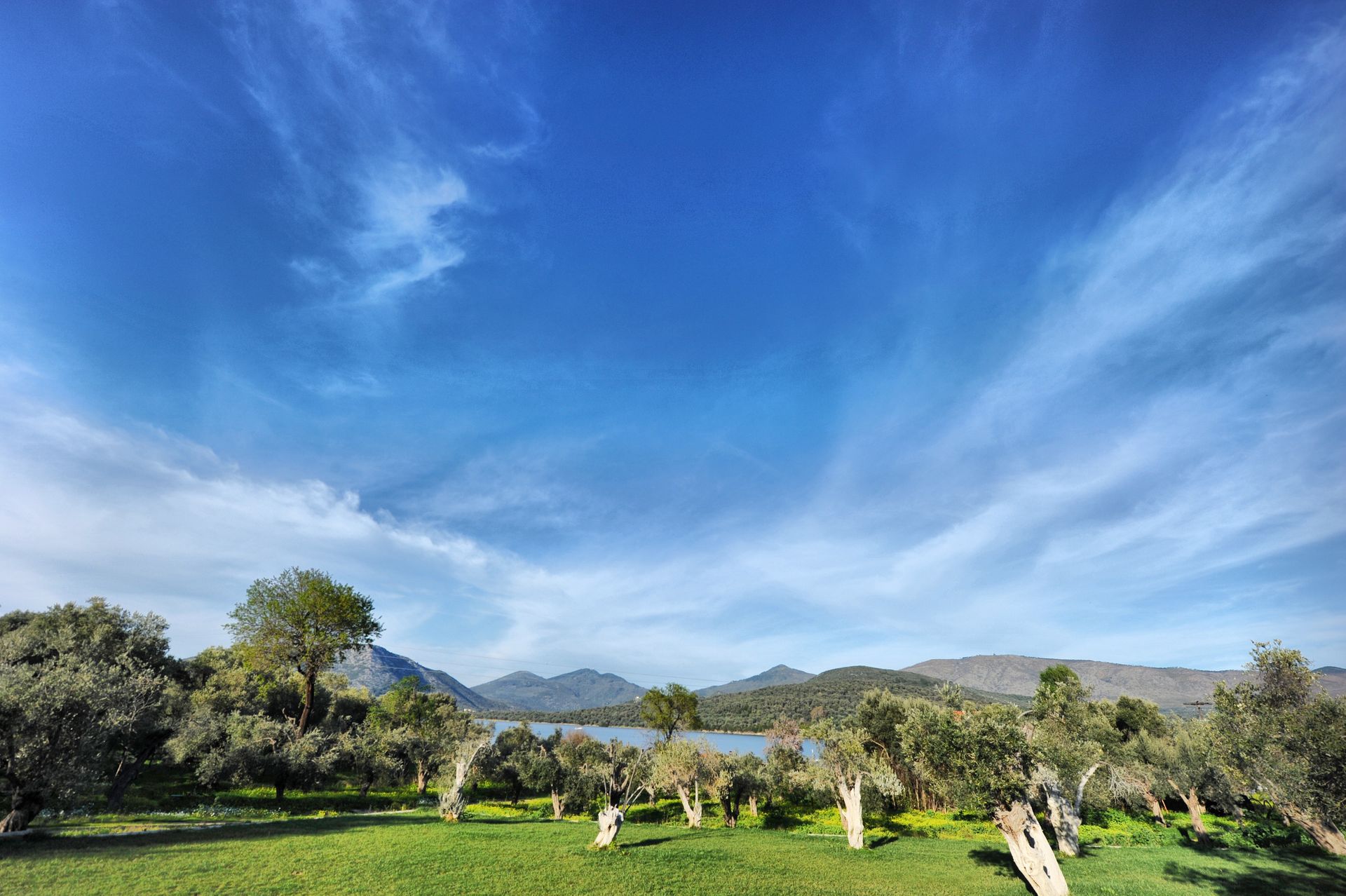 View from the terrace(Venue)