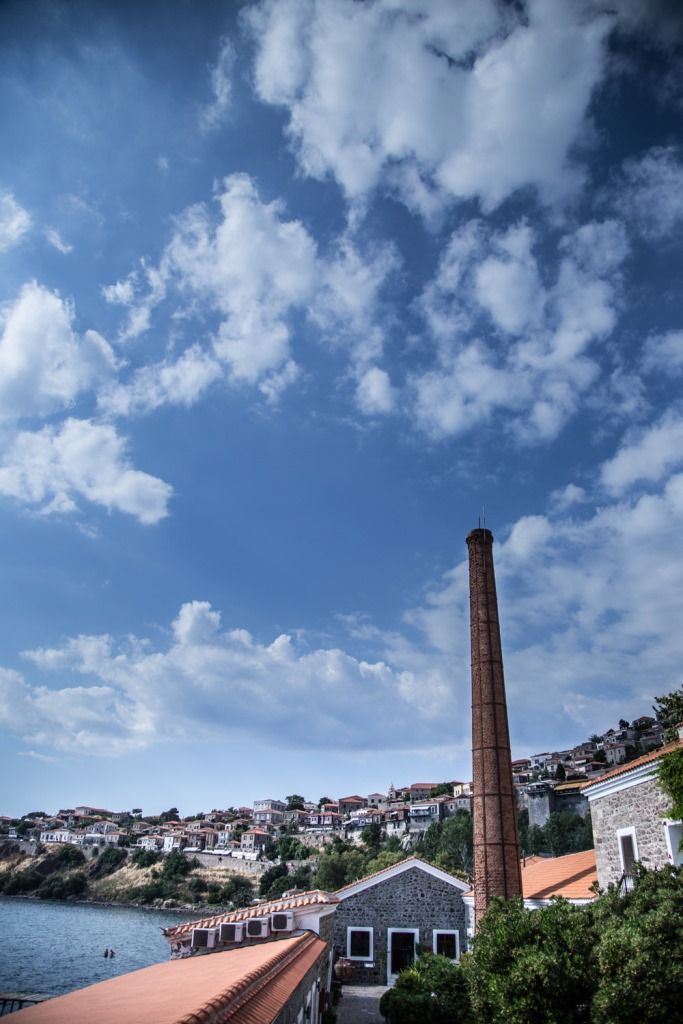 Olive Press Hotel & Apartments