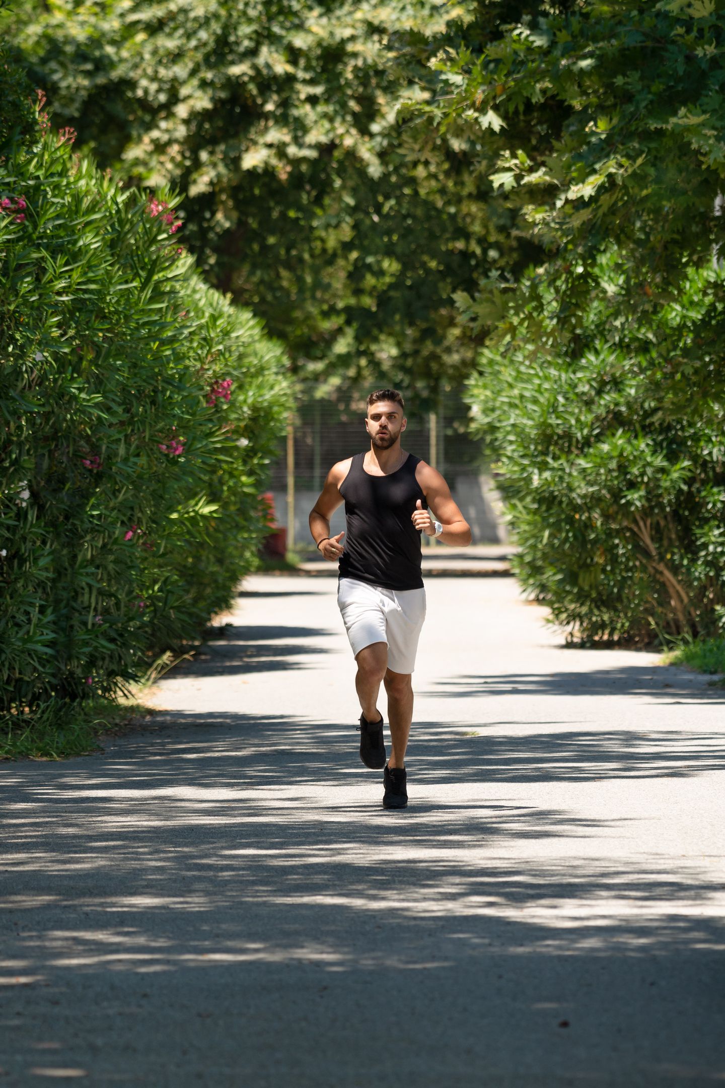 Olympios Zeus Hotel Bungalows