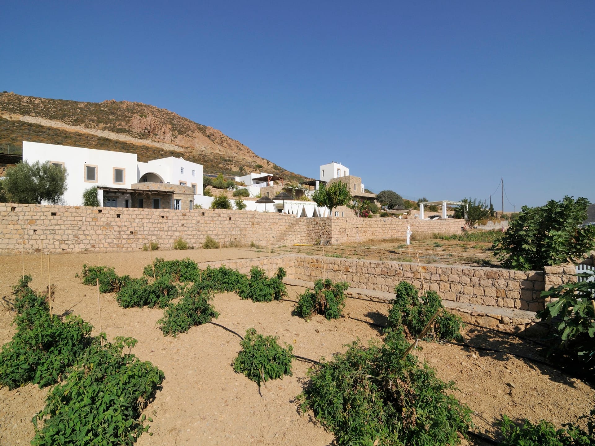 Onar Patmos
