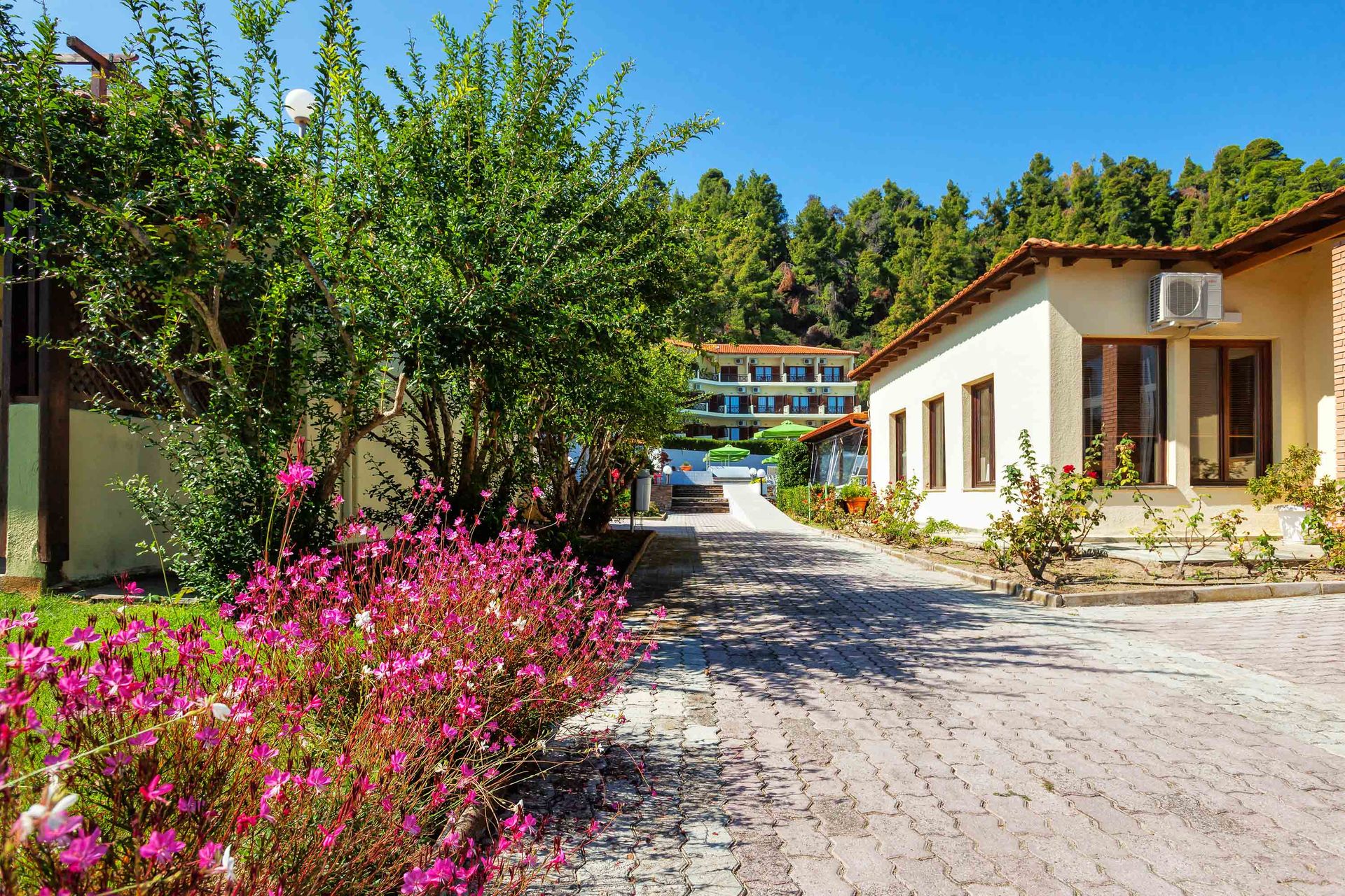 Palladium Hotel Halkidiki