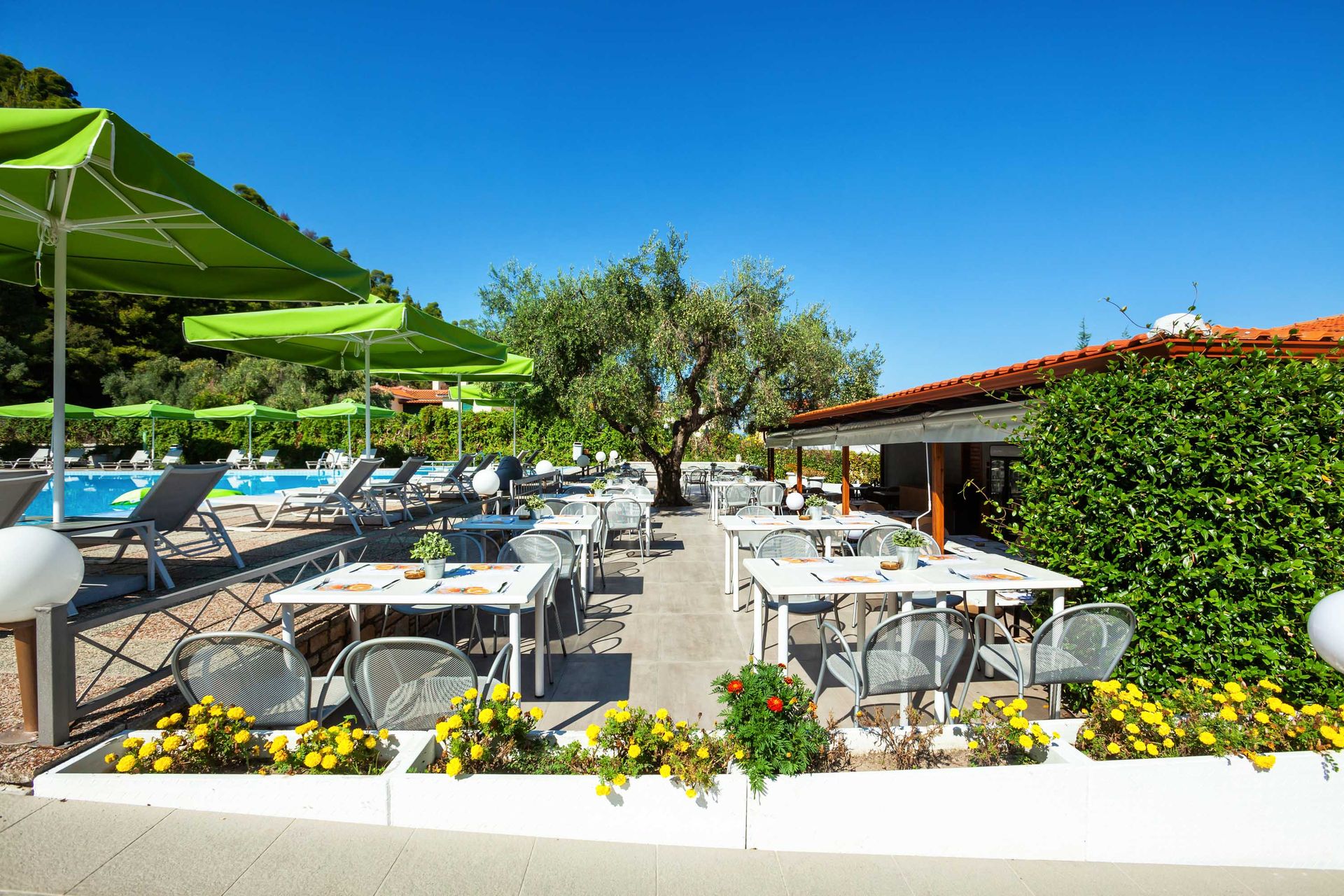 Palladium Hotel Halkidiki