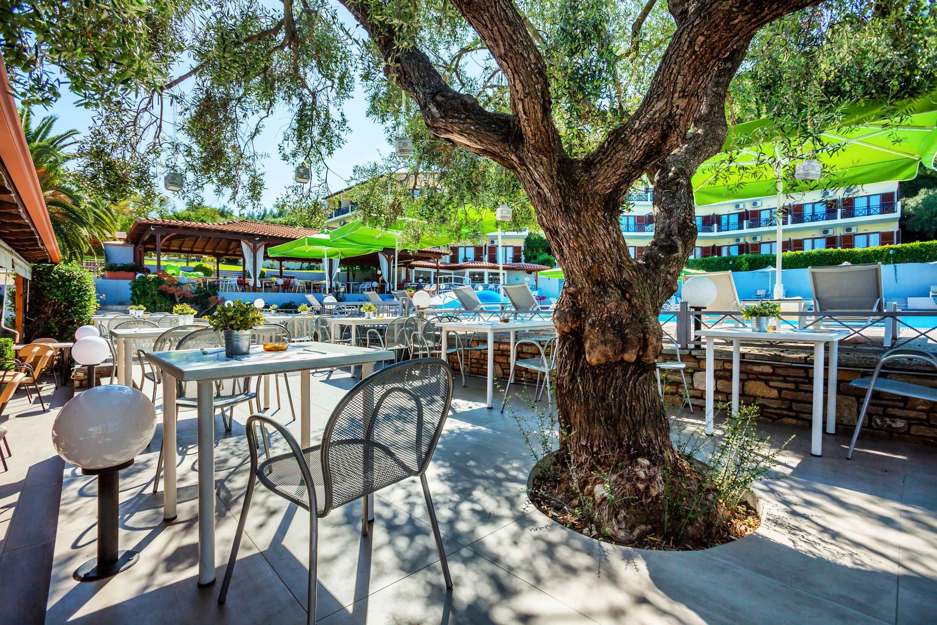 Palladium Hotel Halkidiki