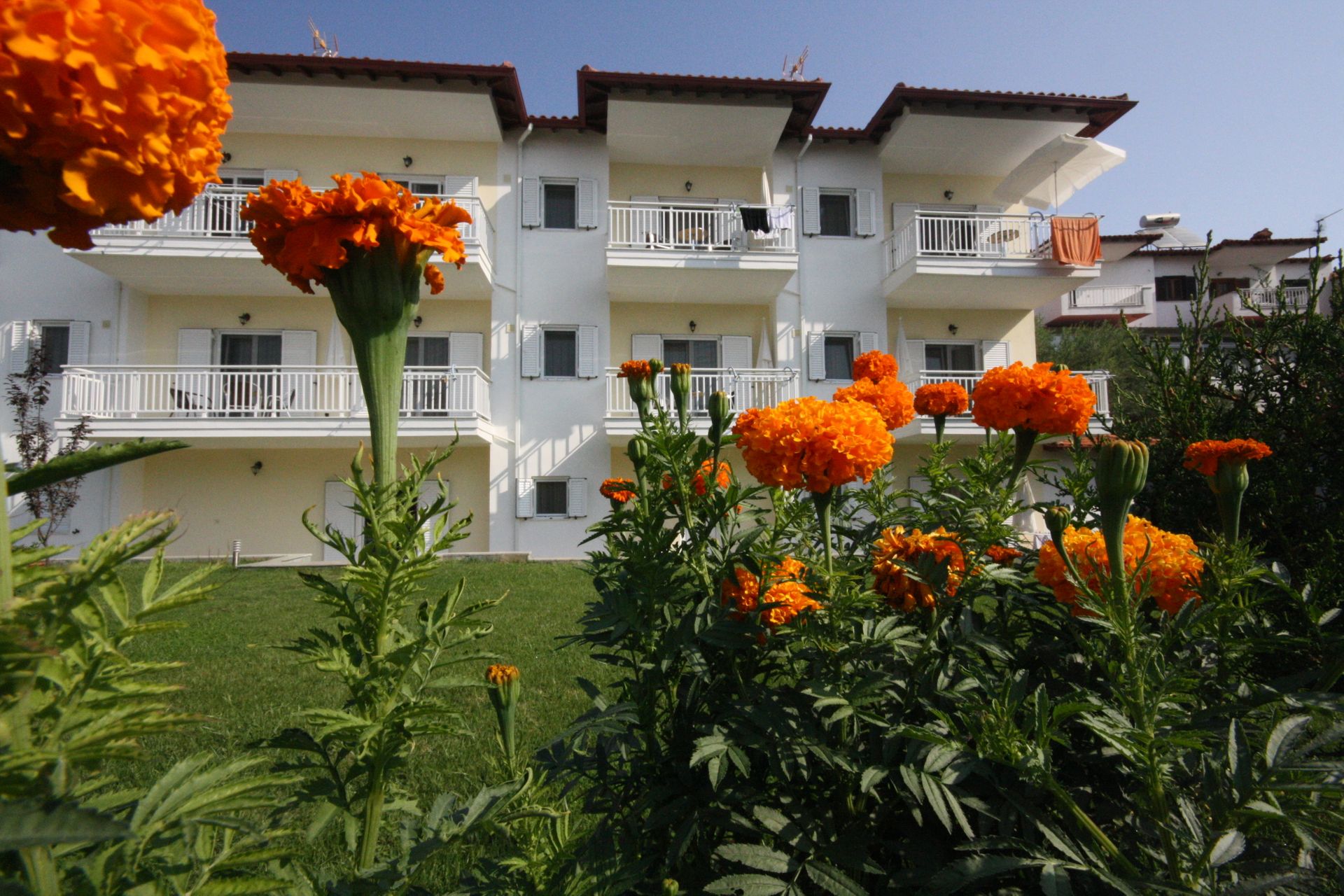 Pavloudis Apartments Chalkidiki