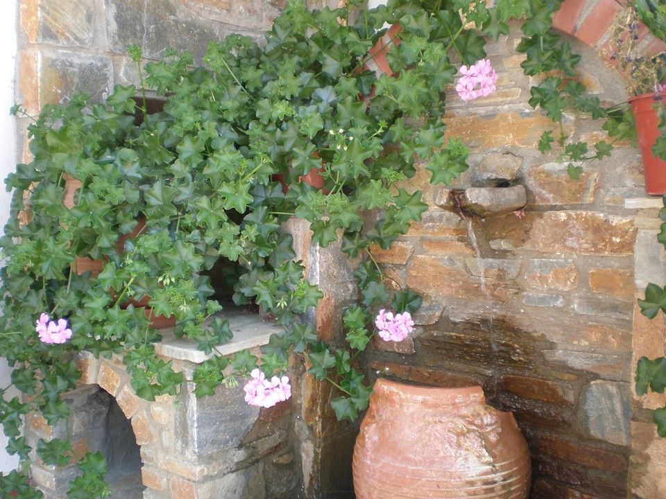 outdoor detail - fountain