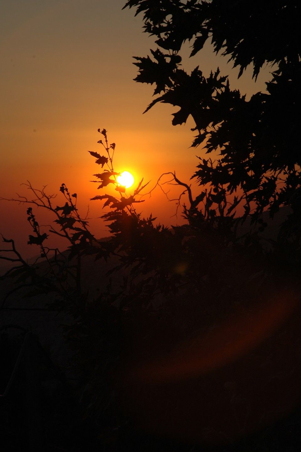 sunset from the pool