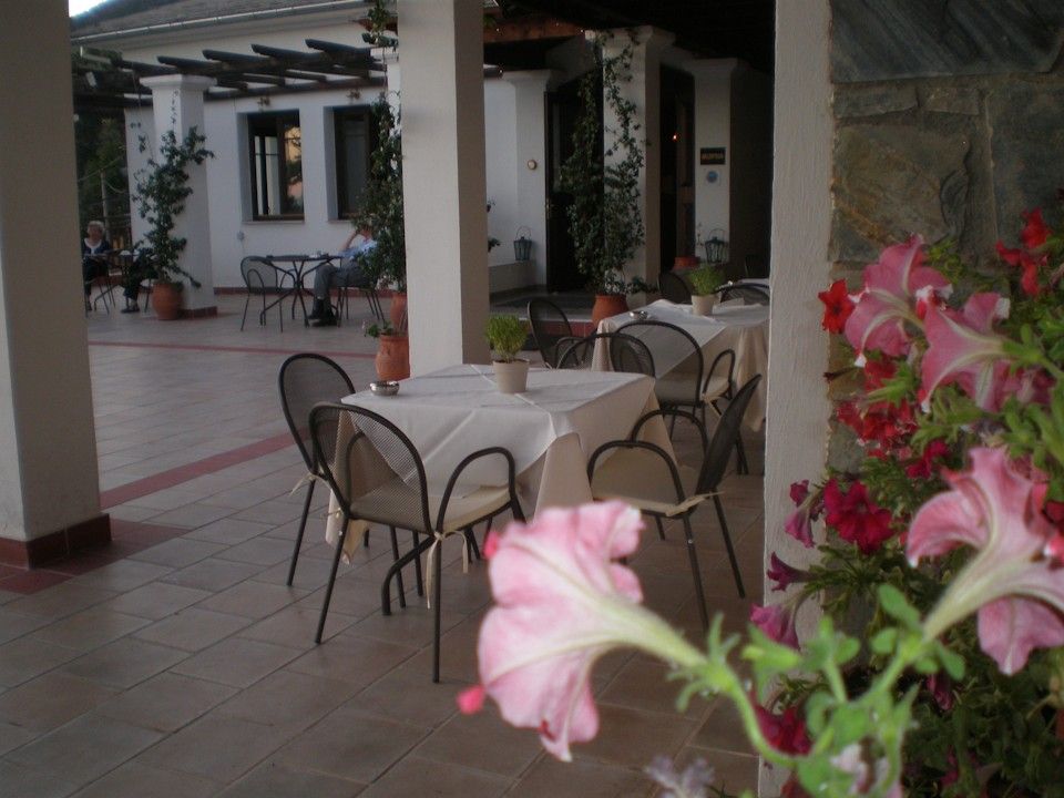 Restaurant at summer