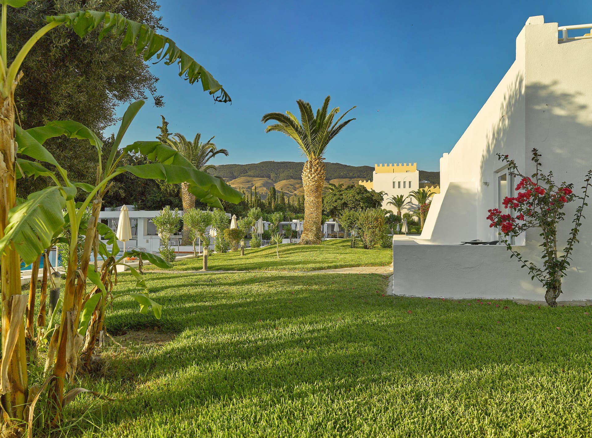 Platanista Hotel Kos