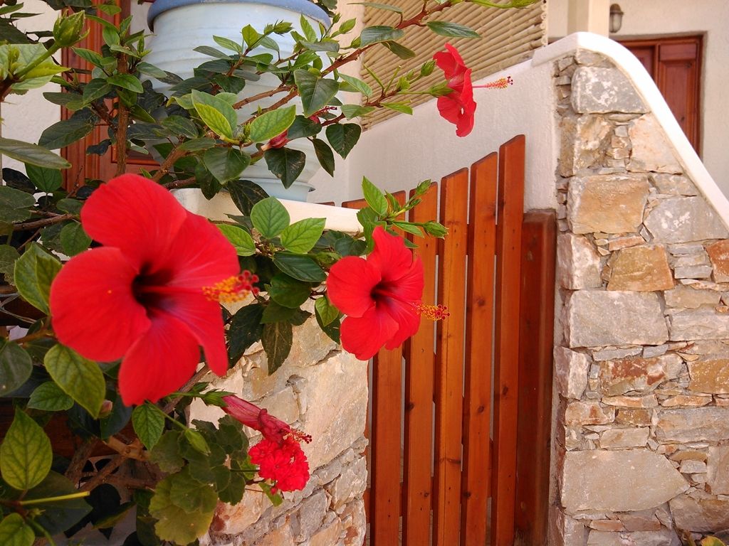 Polikandia Hotel Folegandros