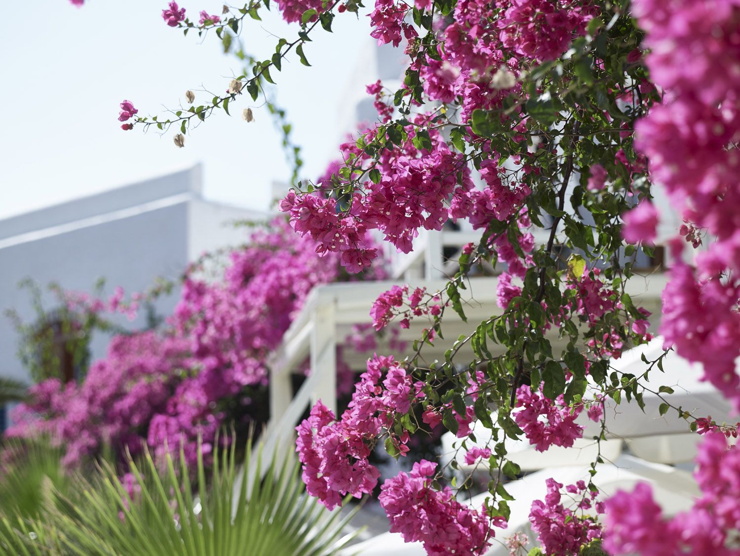 Polikandia Hotel Folegandros