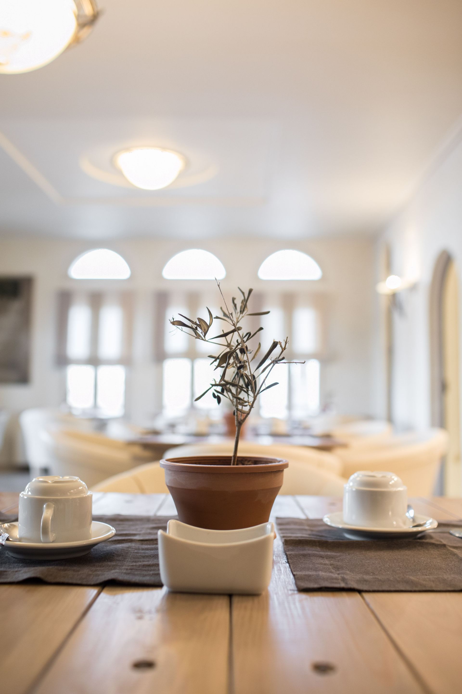 OLD - Porto Naxos Hotel