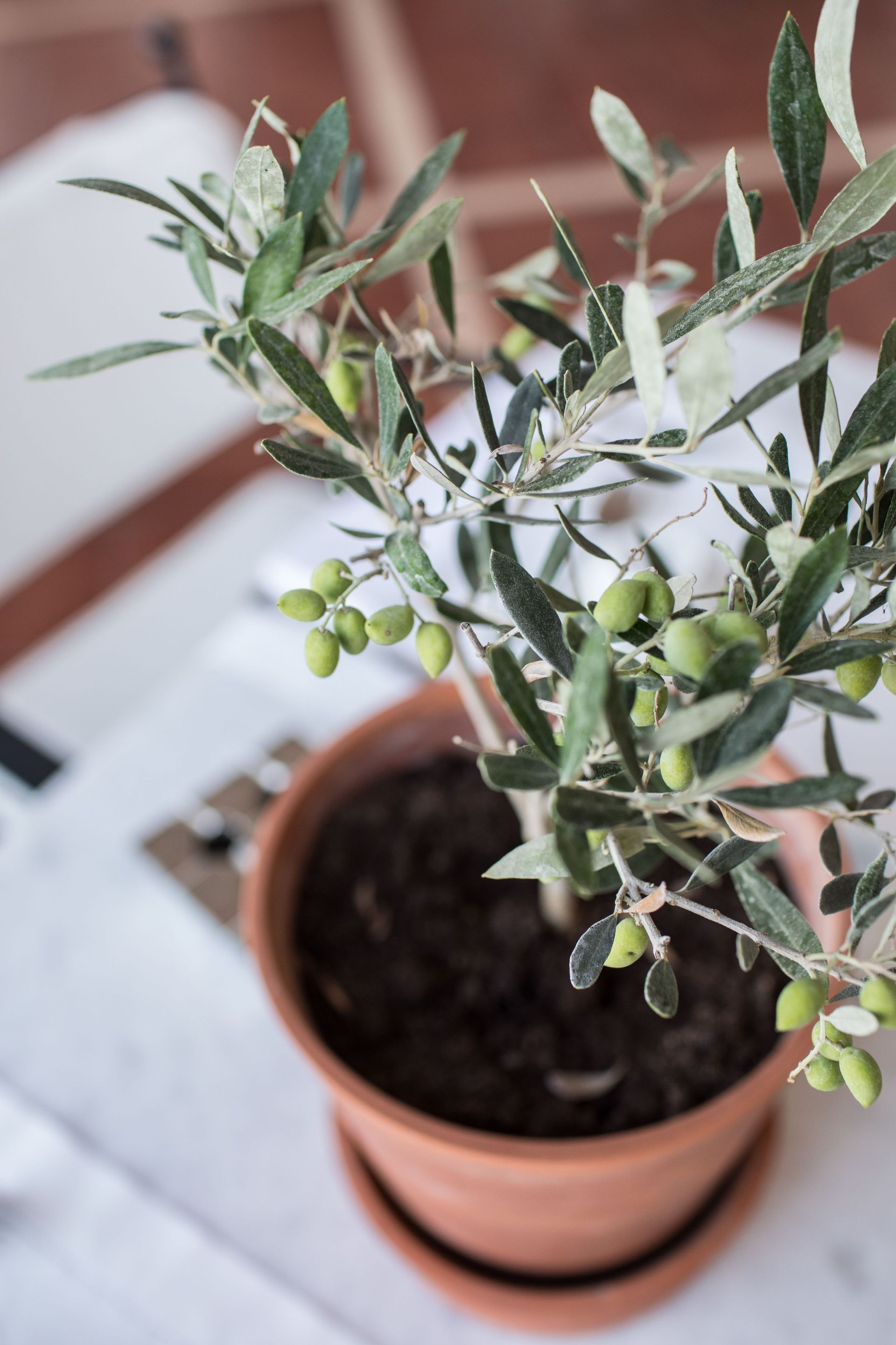 OLD - Porto Naxos Hotel