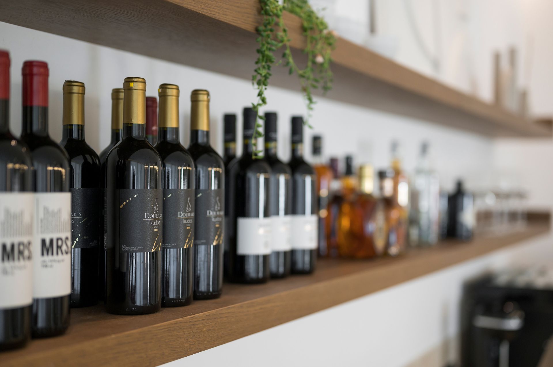 SanSal Boutique Hotel