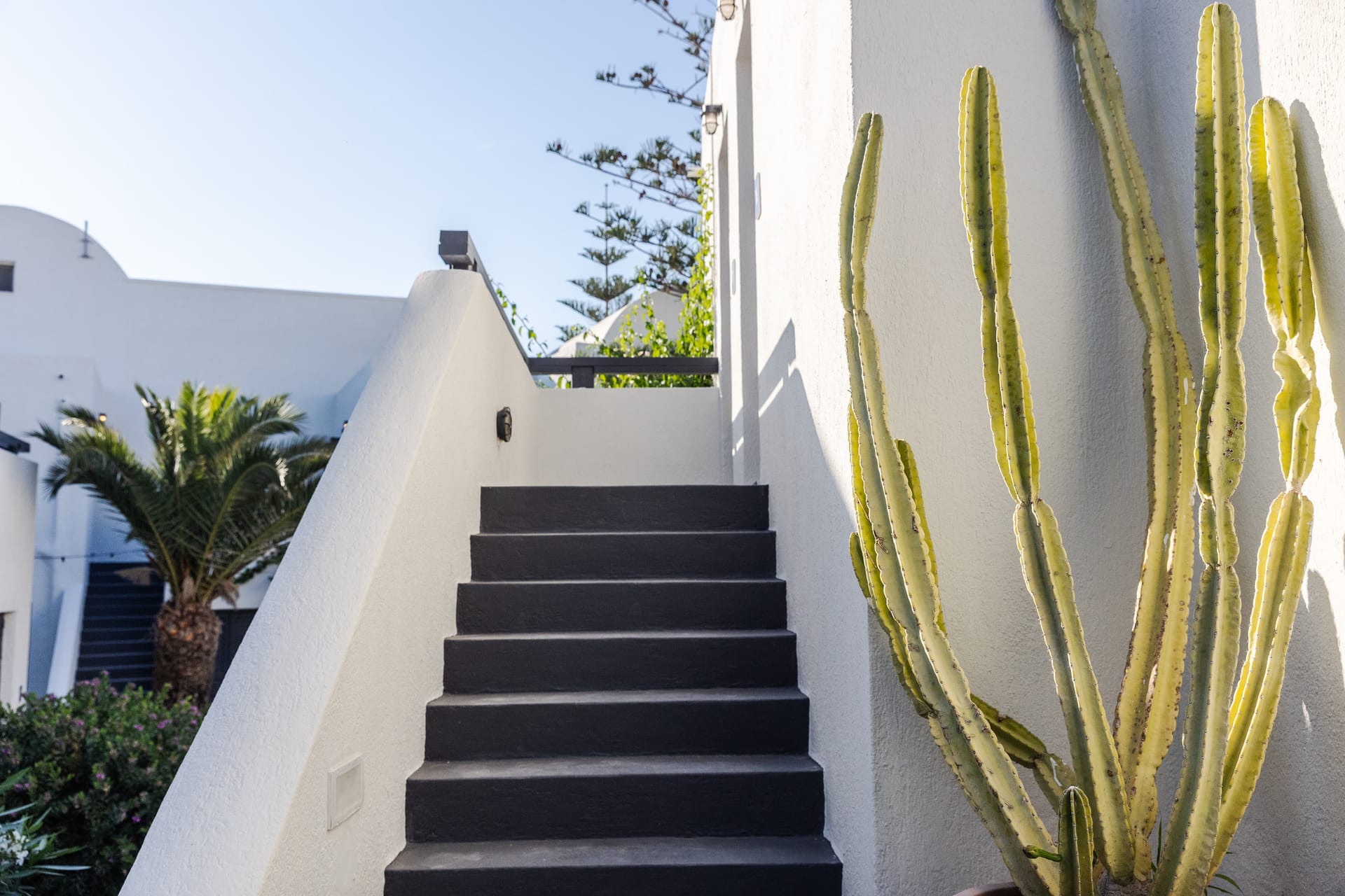 Scorpios Beach Santorini