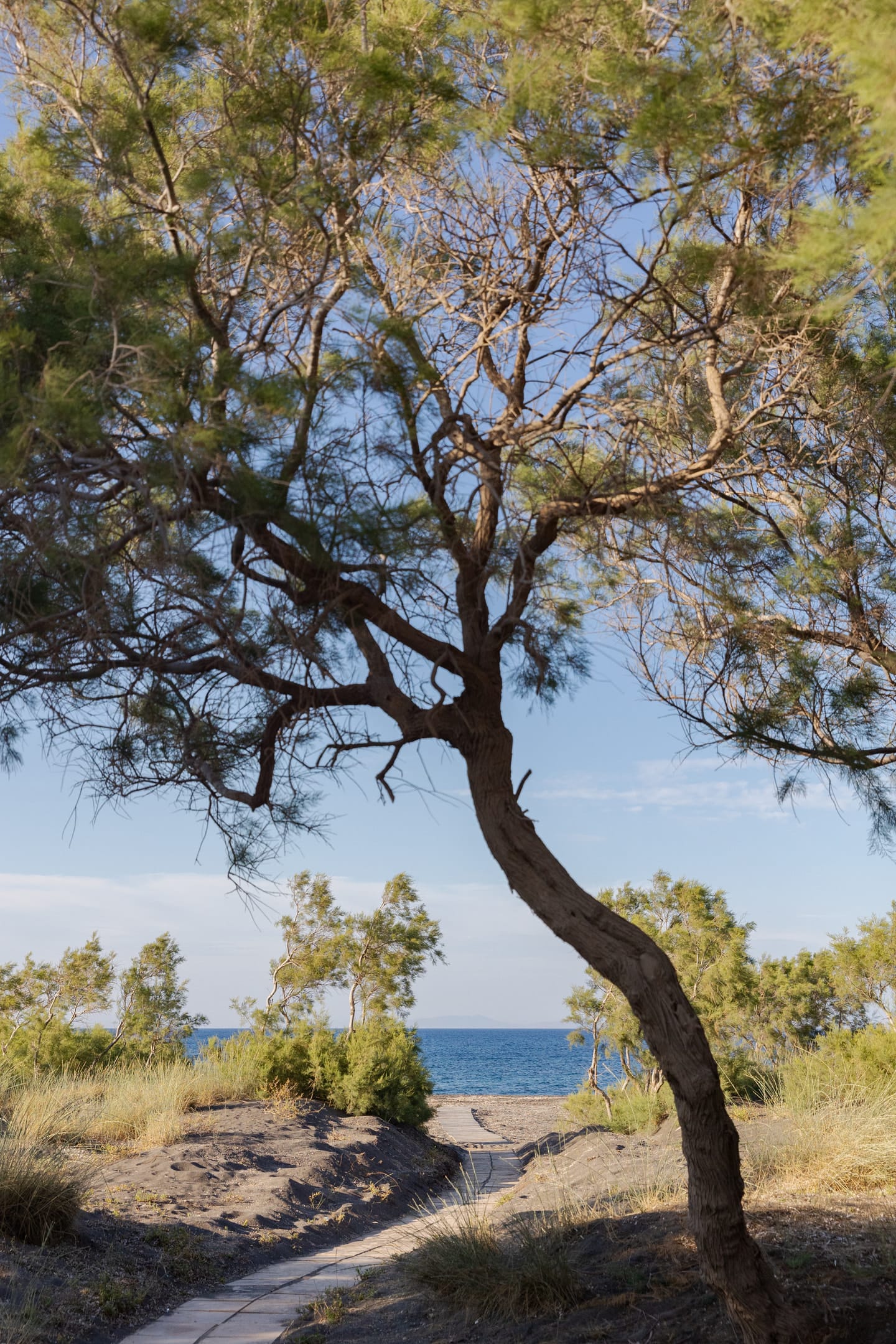 Scorpios Beach Santorini