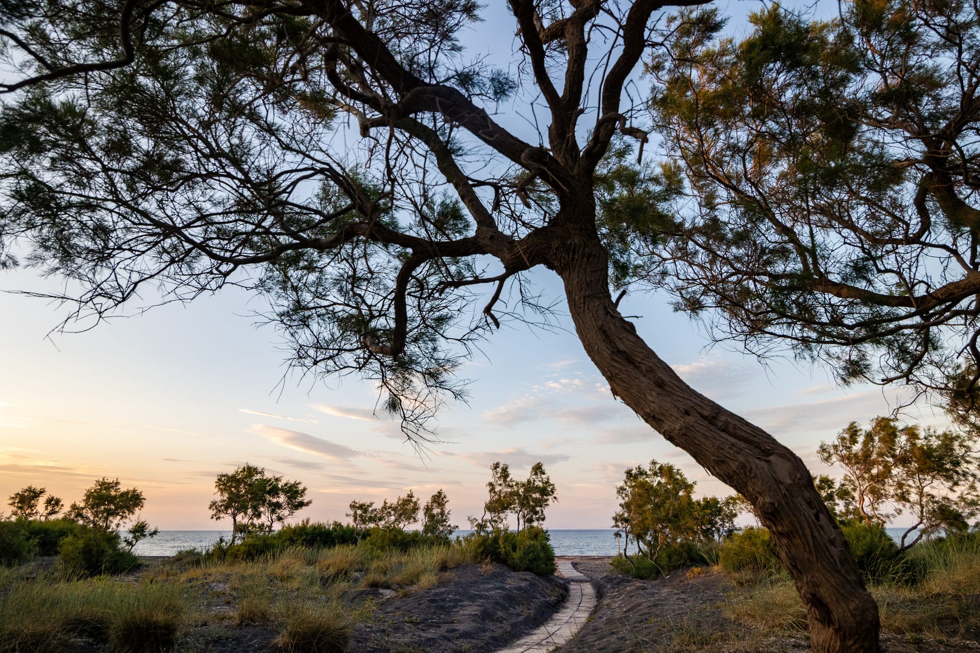 Scorpios Beach Santorini