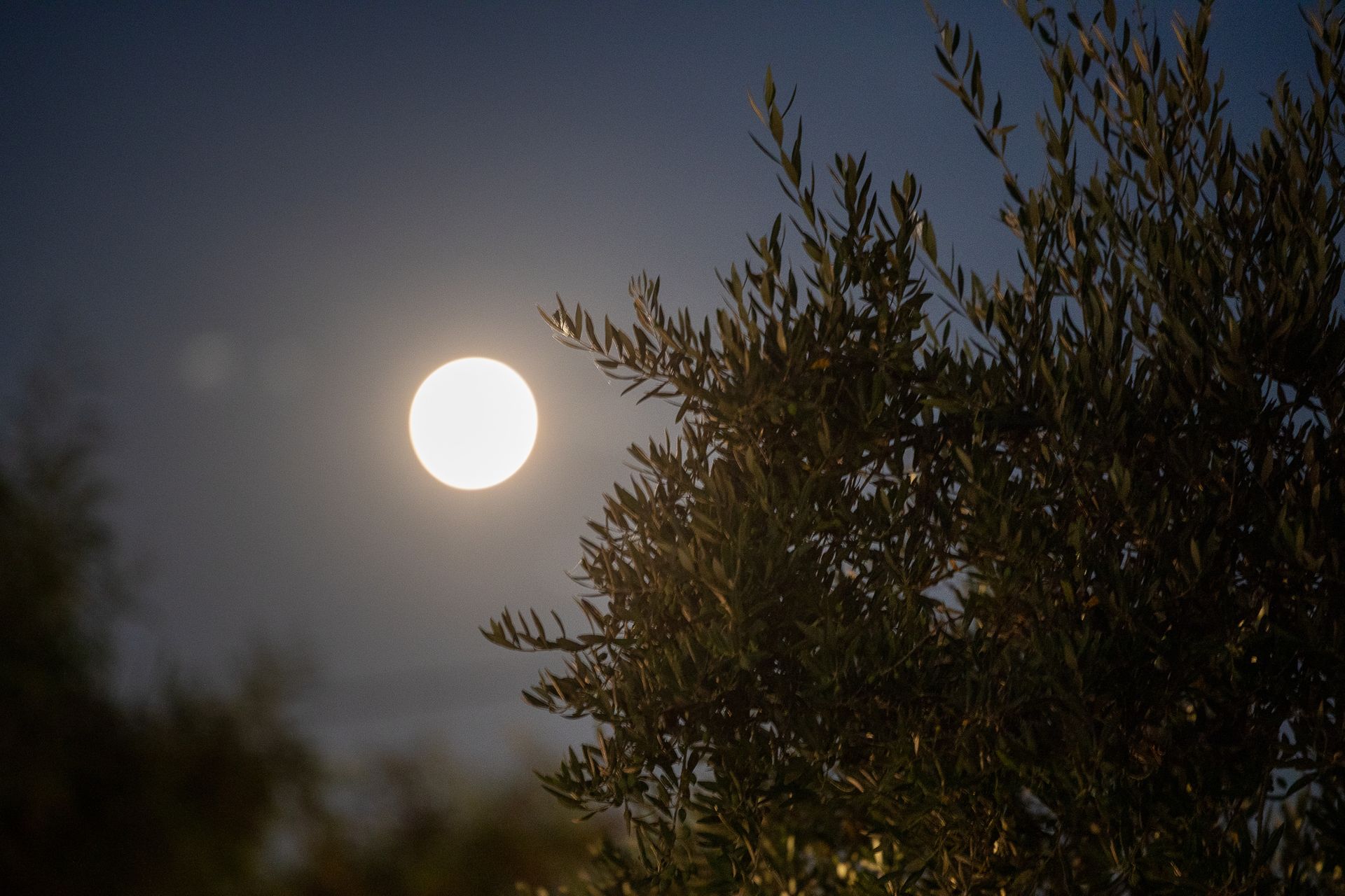 Searocks Exclusive Village