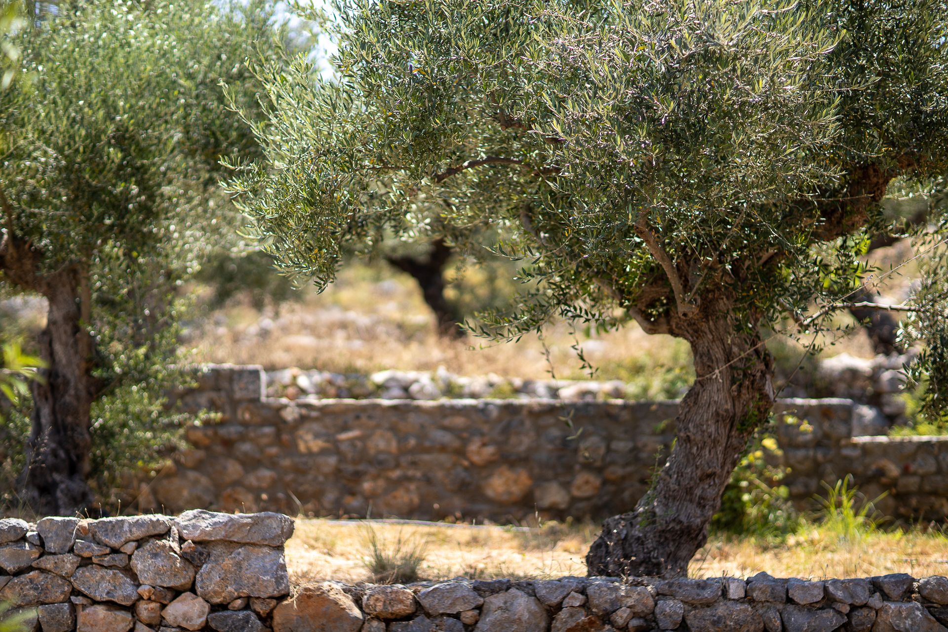 Searocks Exclusive Village