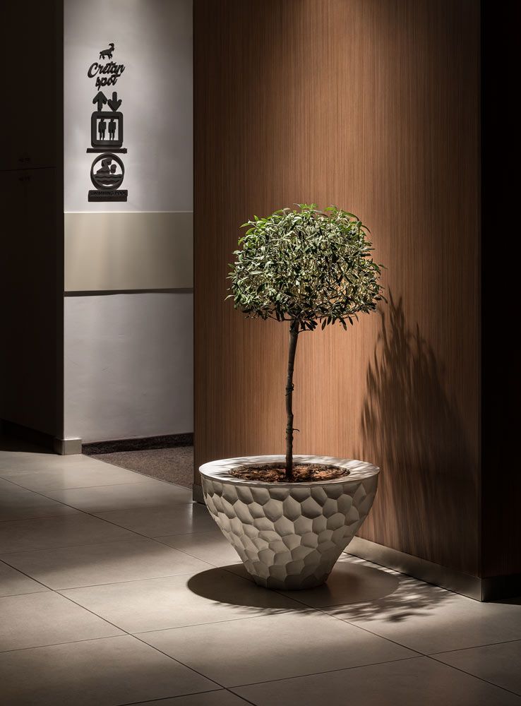 Sea View Hotel & Apartments