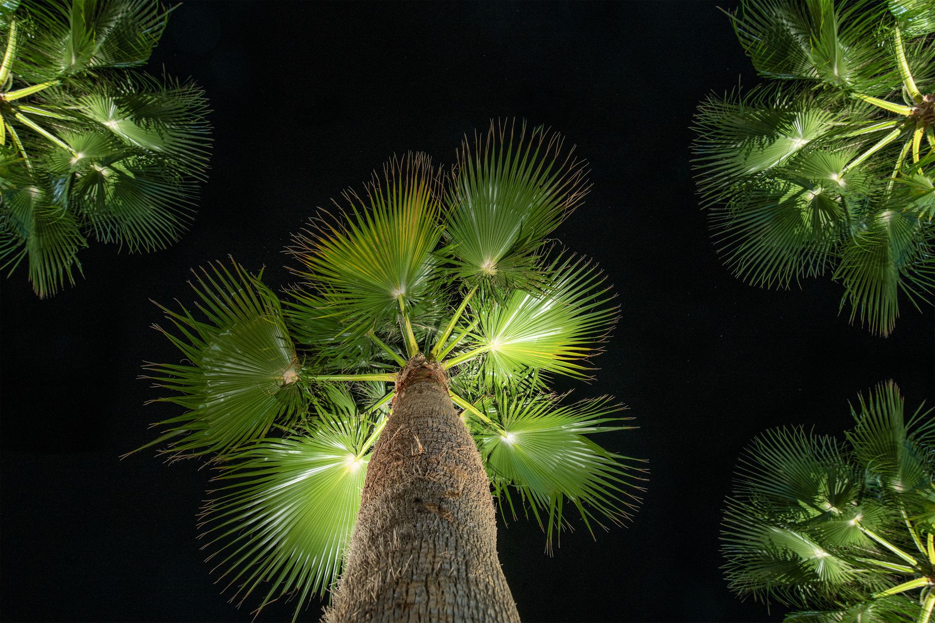 Sea View Hotel & Apartments