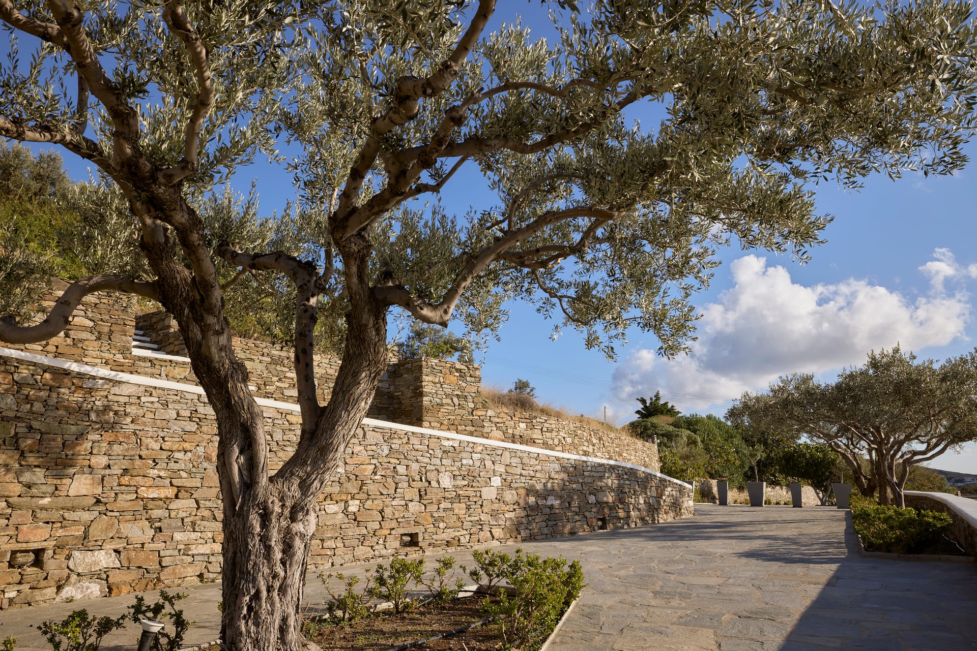 Selana Suites Sifnos