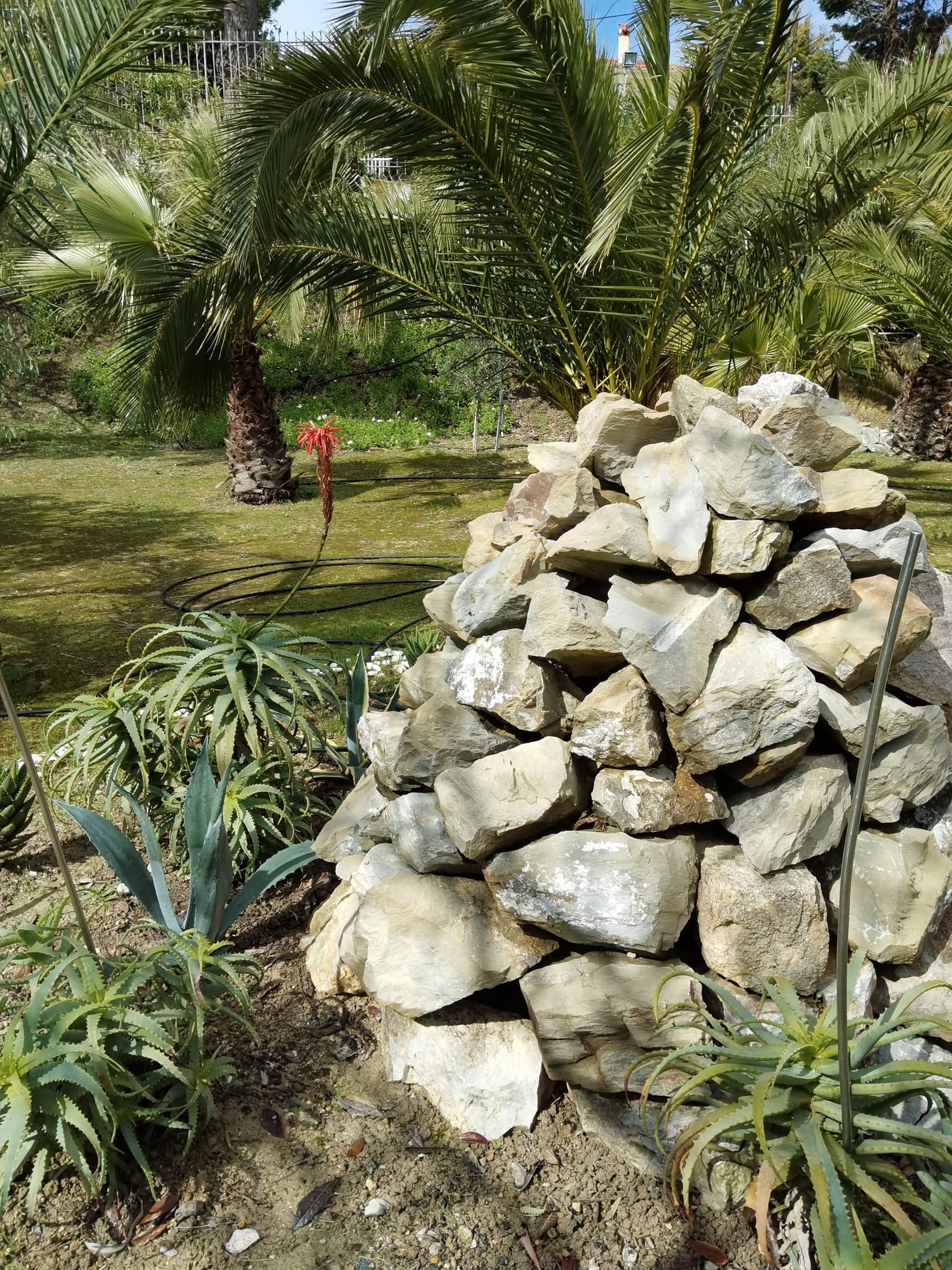 Garden Rock by the main entrance.