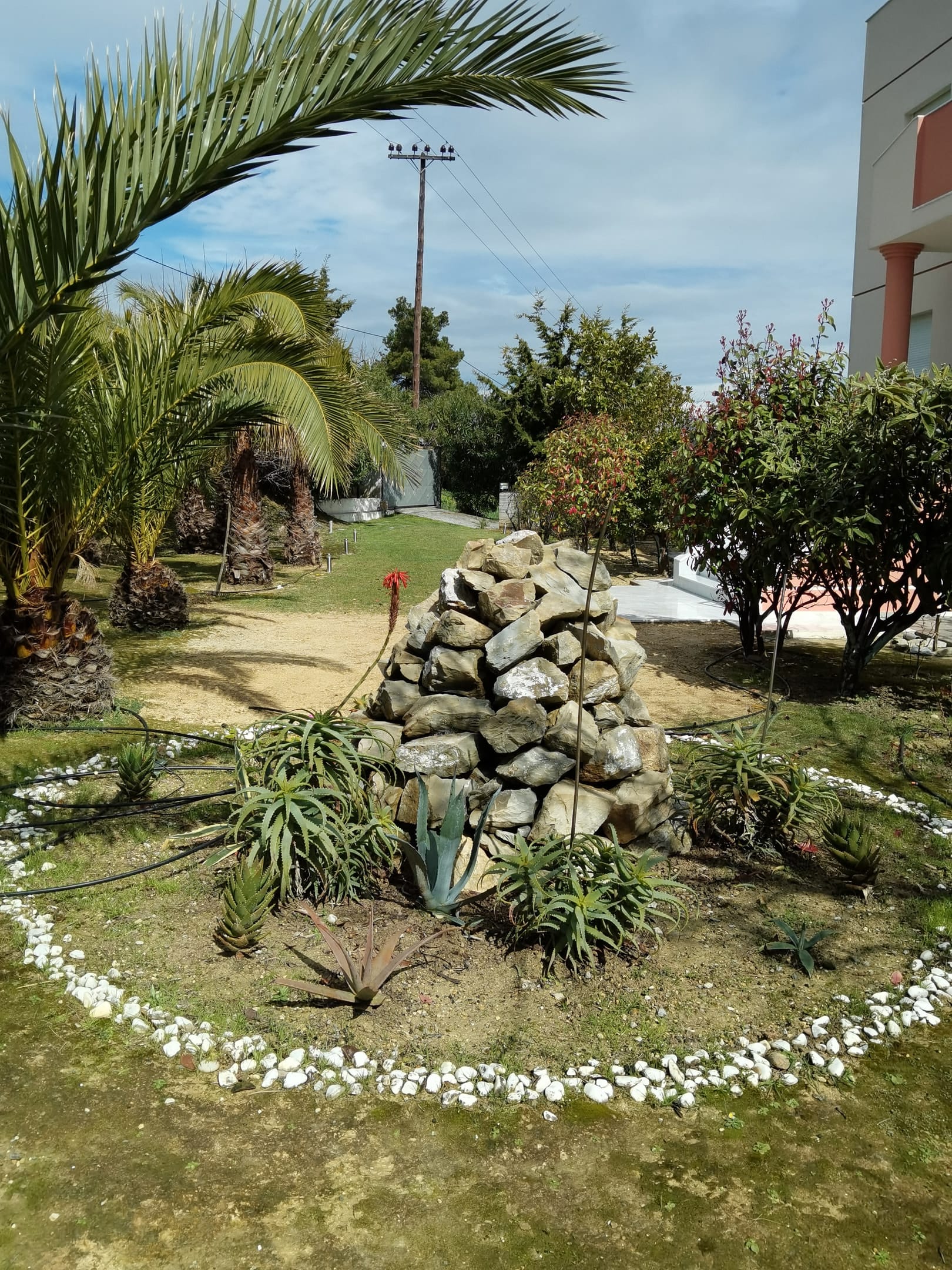 A part of our garden. Exterior gate entrance.