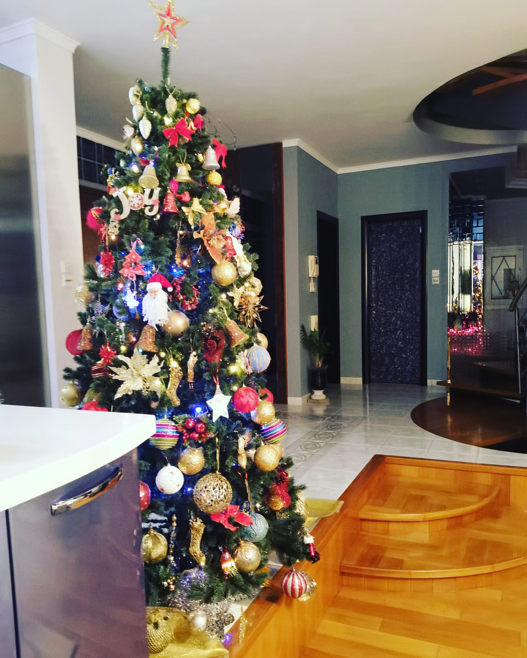 Christmas celebration.