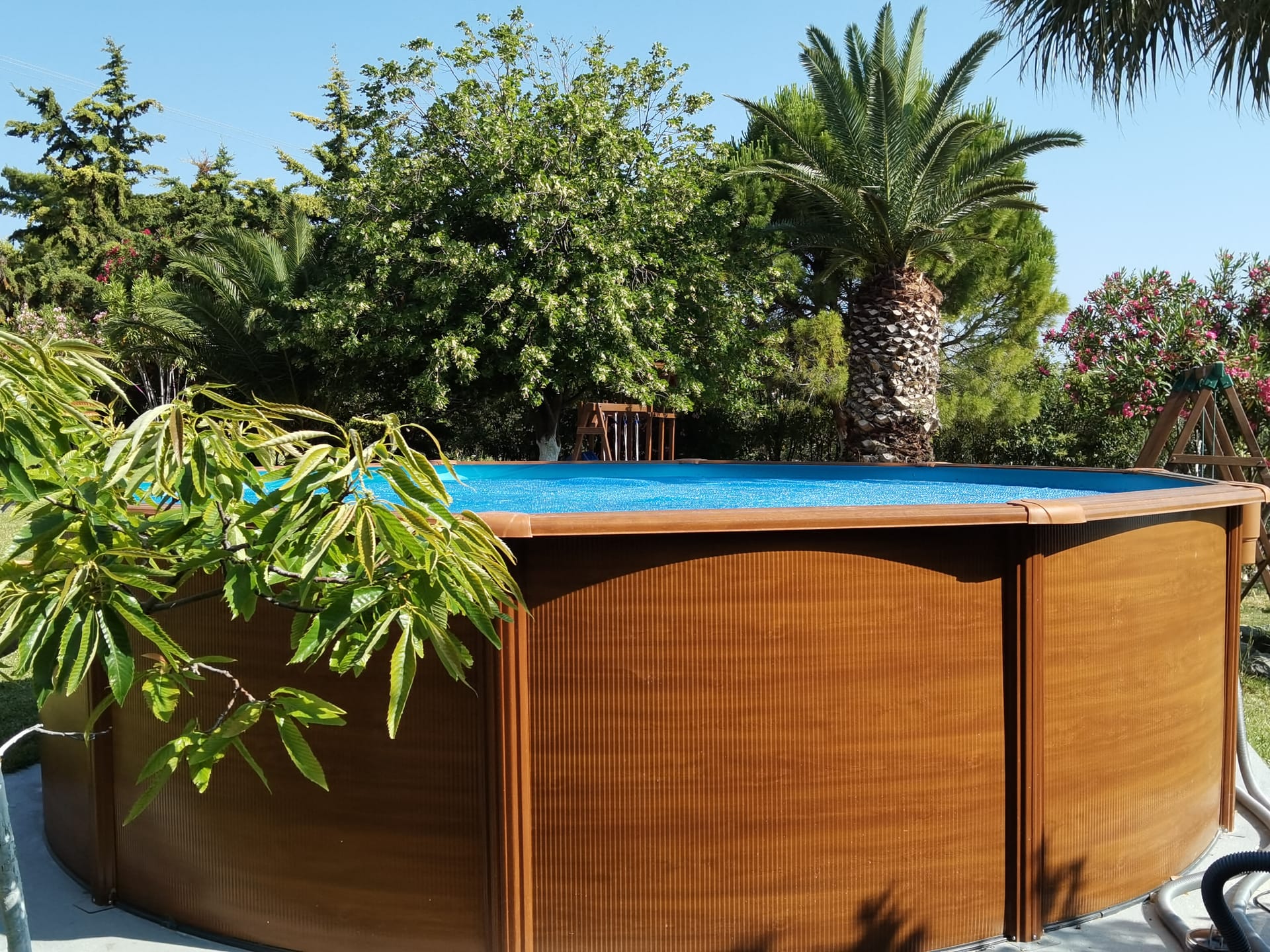 Swimming pool among the trees.