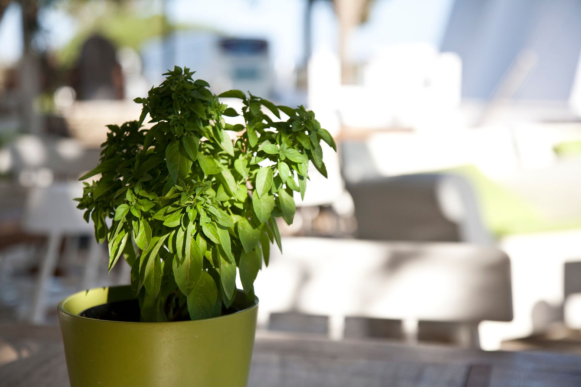 Smaragdi Hotel Sifnos