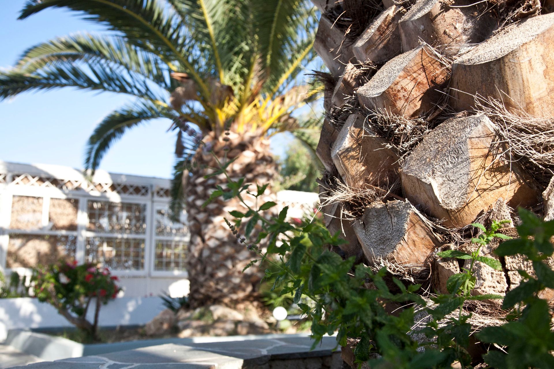 Smaragdi Hotel Sifnos