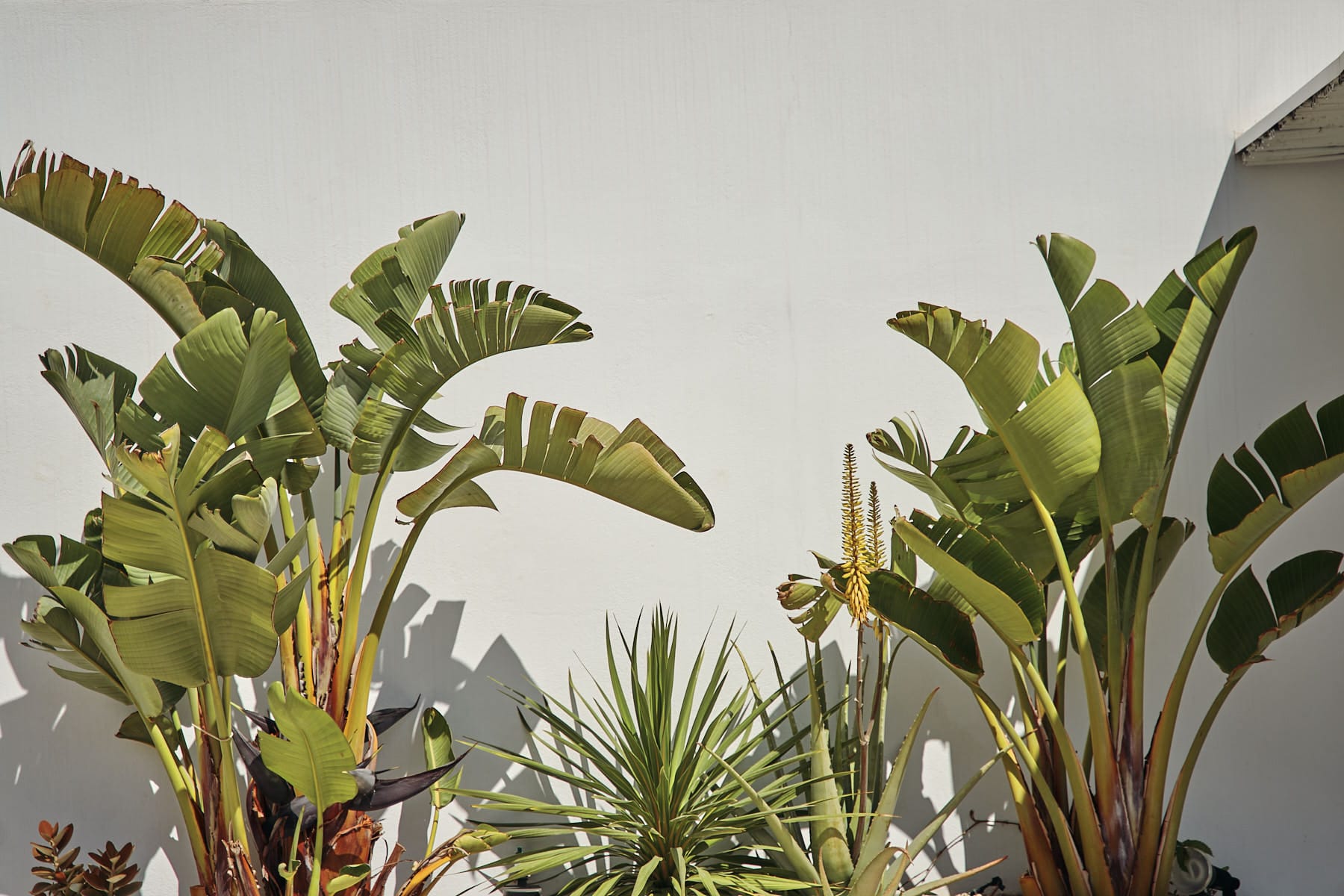 Stelia Mare Boutique Hotel