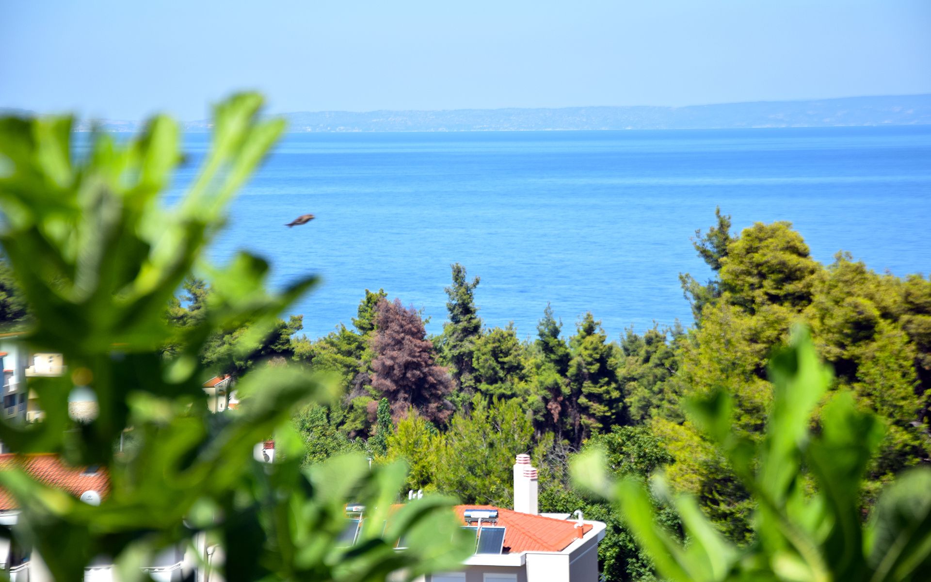 Studios Kriopigi Halkidiki