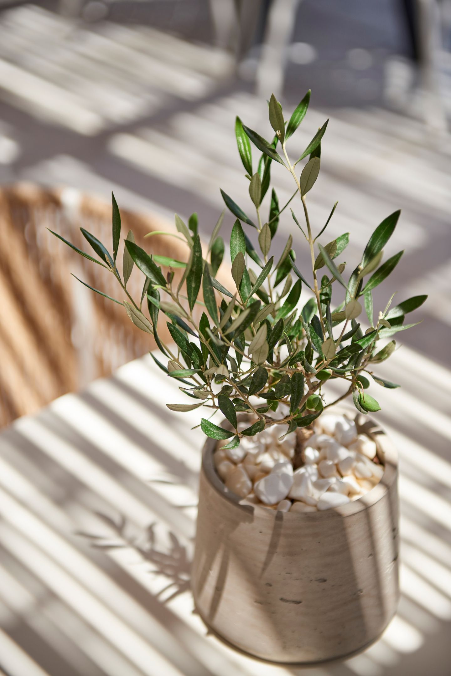 Summer Senses Luxury Resort Paros