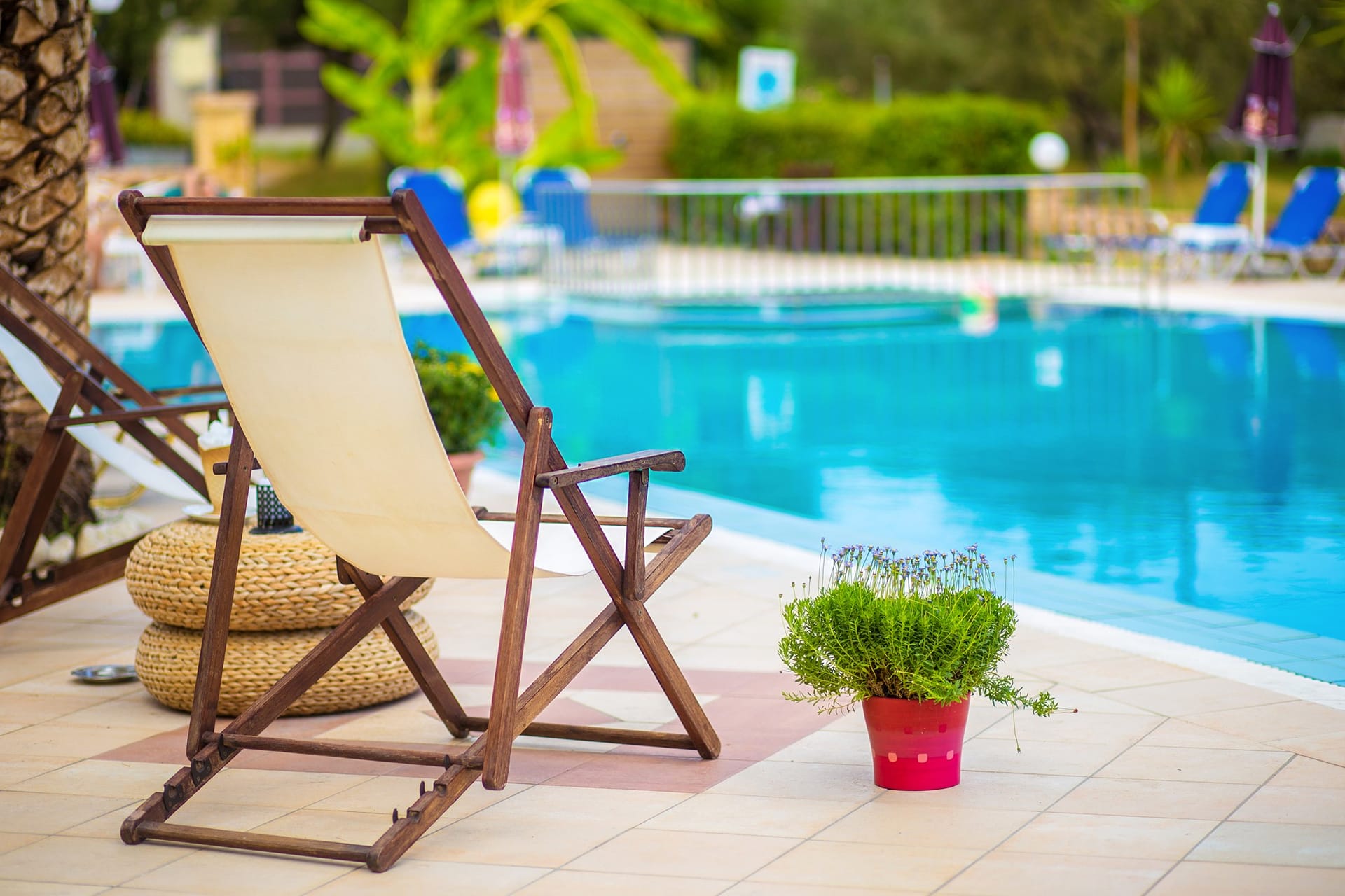 Sunflower Apartments & Studios Zakynthos